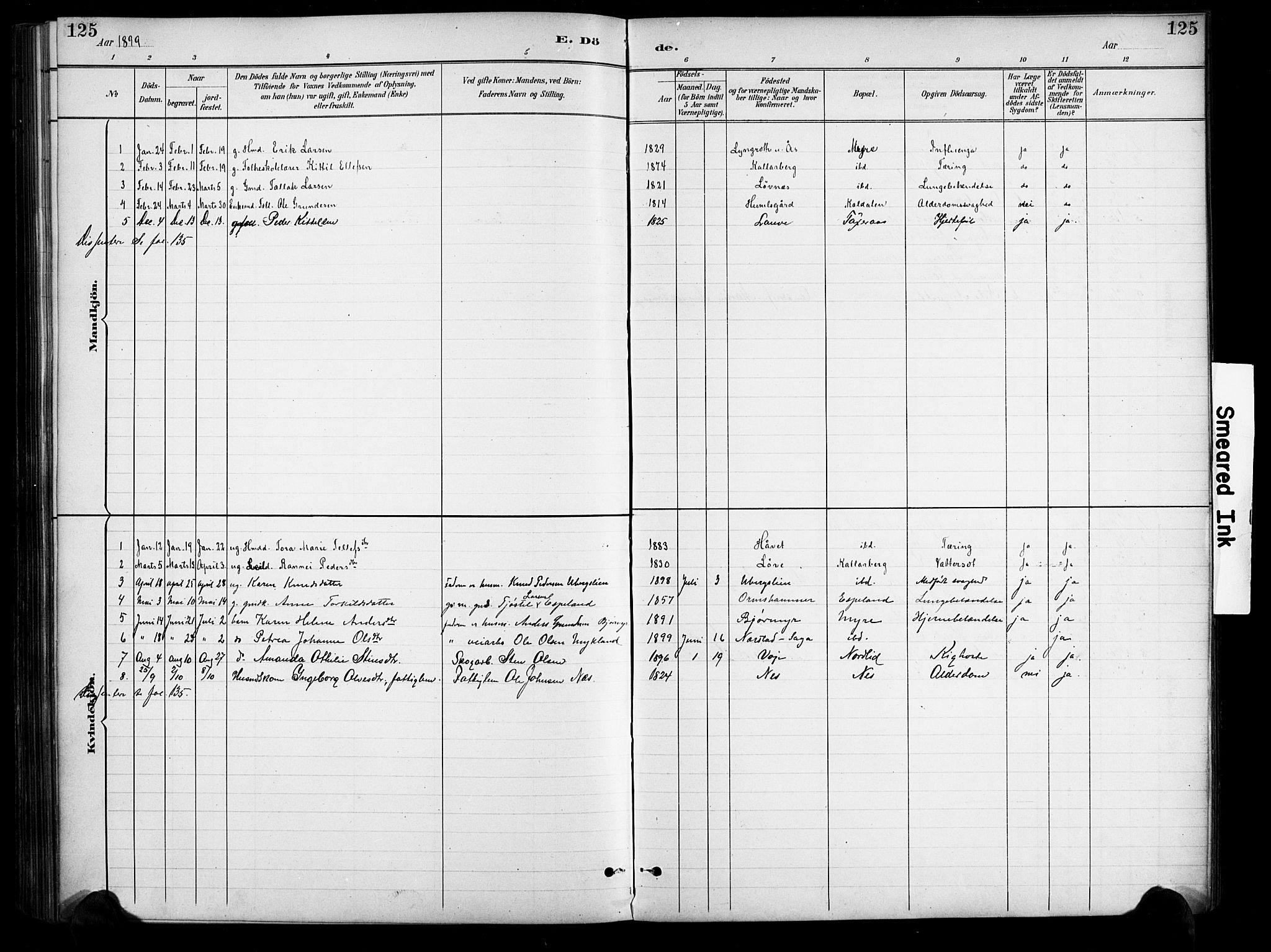 Gjerstad sokneprestkontor, AV/SAK-1111-0014/F/Fa/Fab/L0005: Parish register (official) no. A 5, 1891-1908, p. 125