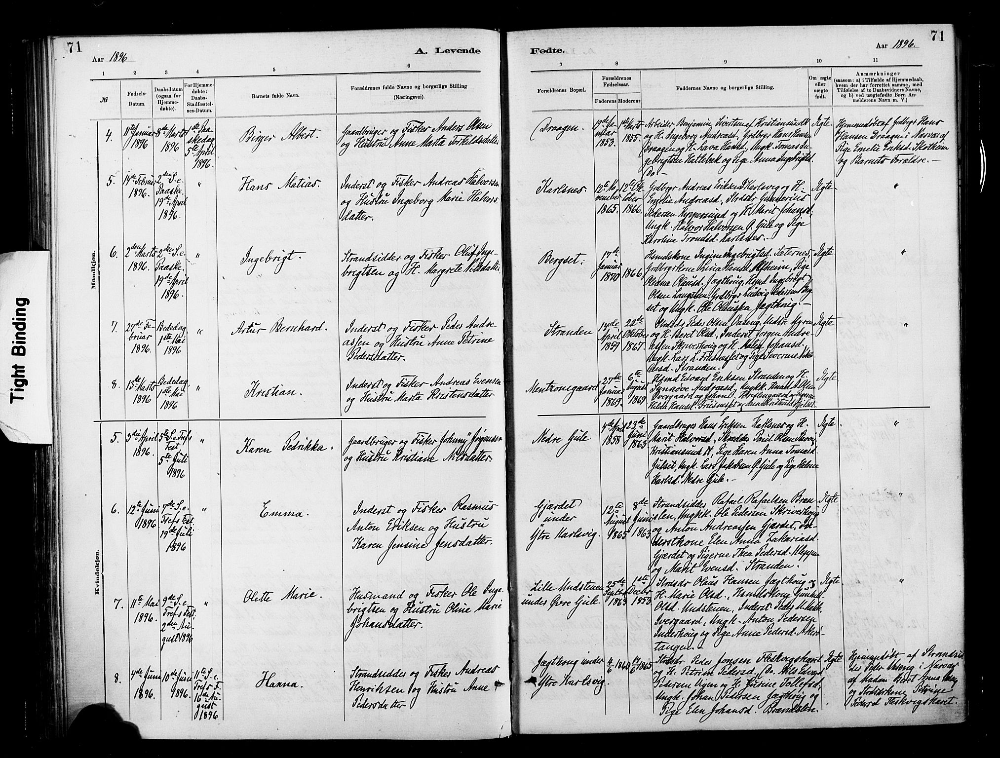 Ministerialprotokoller, klokkerbøker og fødselsregistre - Møre og Romsdal, AV/SAT-A-1454/566/L0769: Parish register (official) no. 566A08, 1881-1903, p. 71