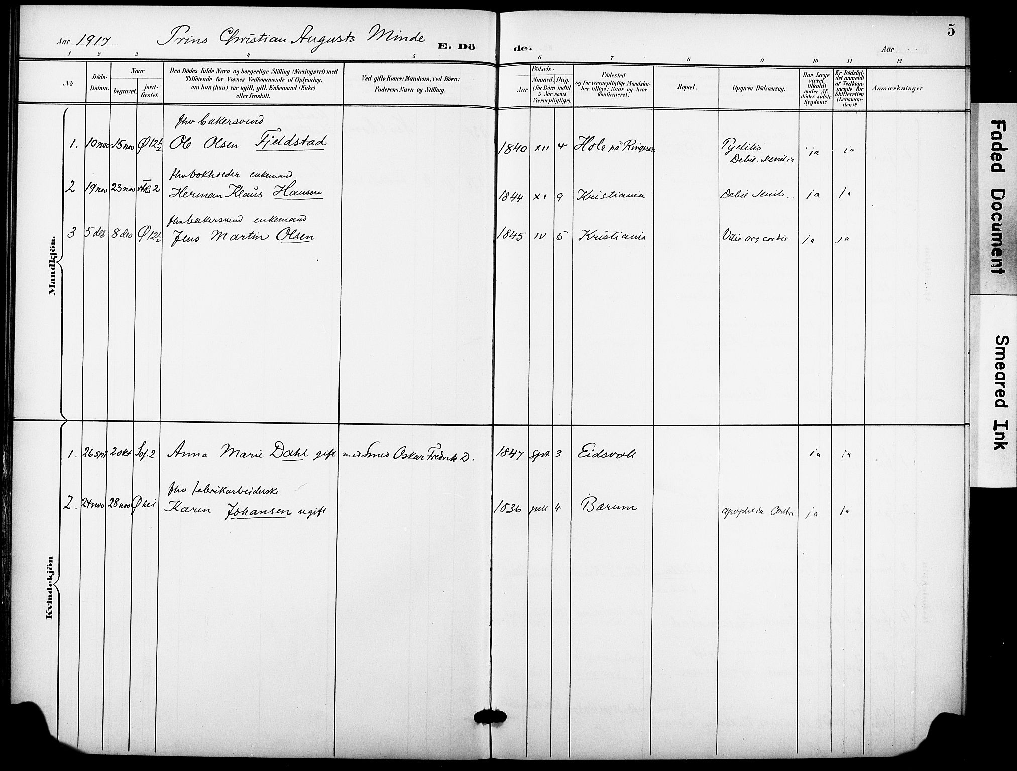 Krohgstøtten sykehusprest Kirkebøker, SAO/A-10854/F/Fa/L0004: Parish register (official) no. 4, 1900-1935, p. 5