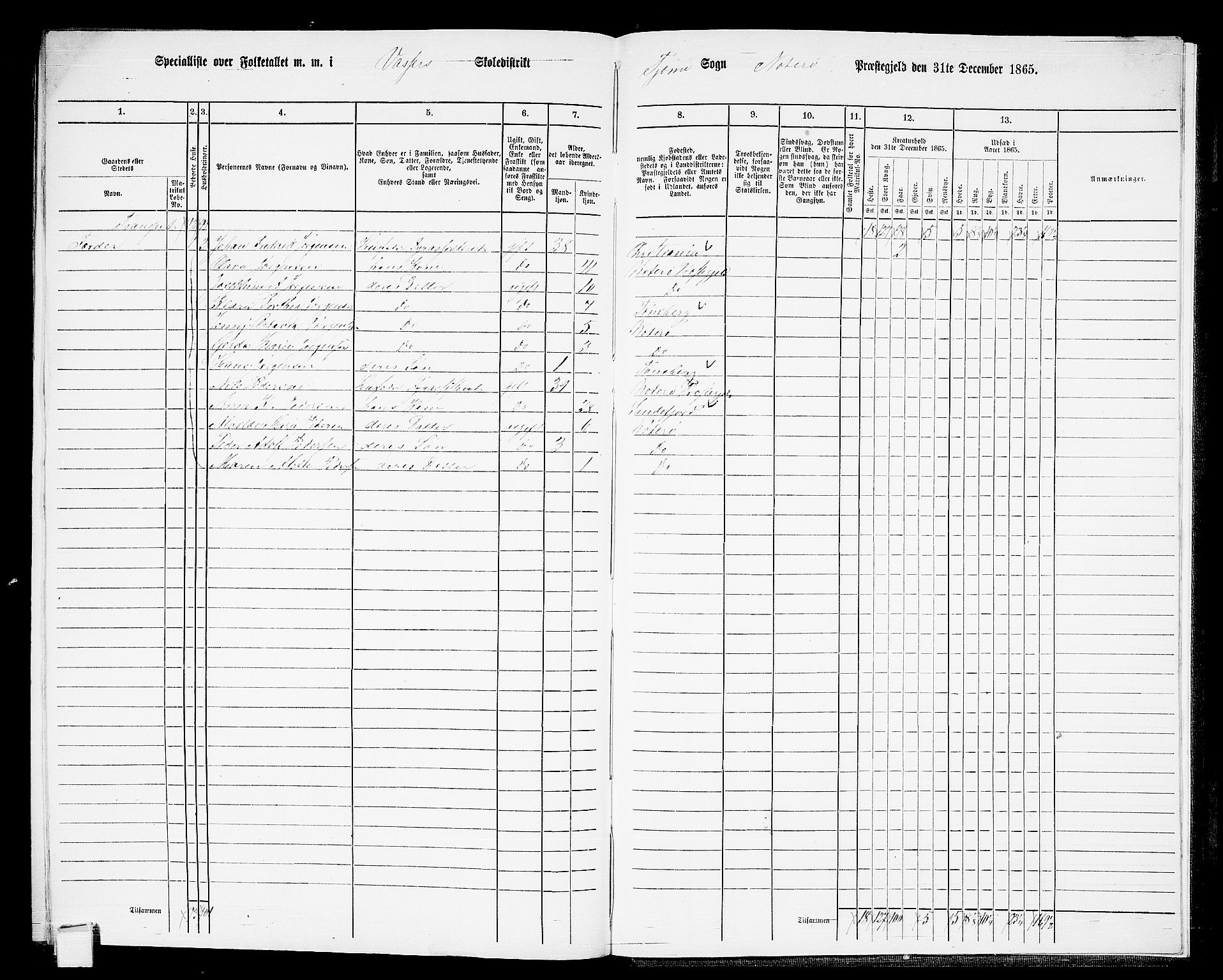 RA, 1865 census for Nøtterøy, 1865, p. 307