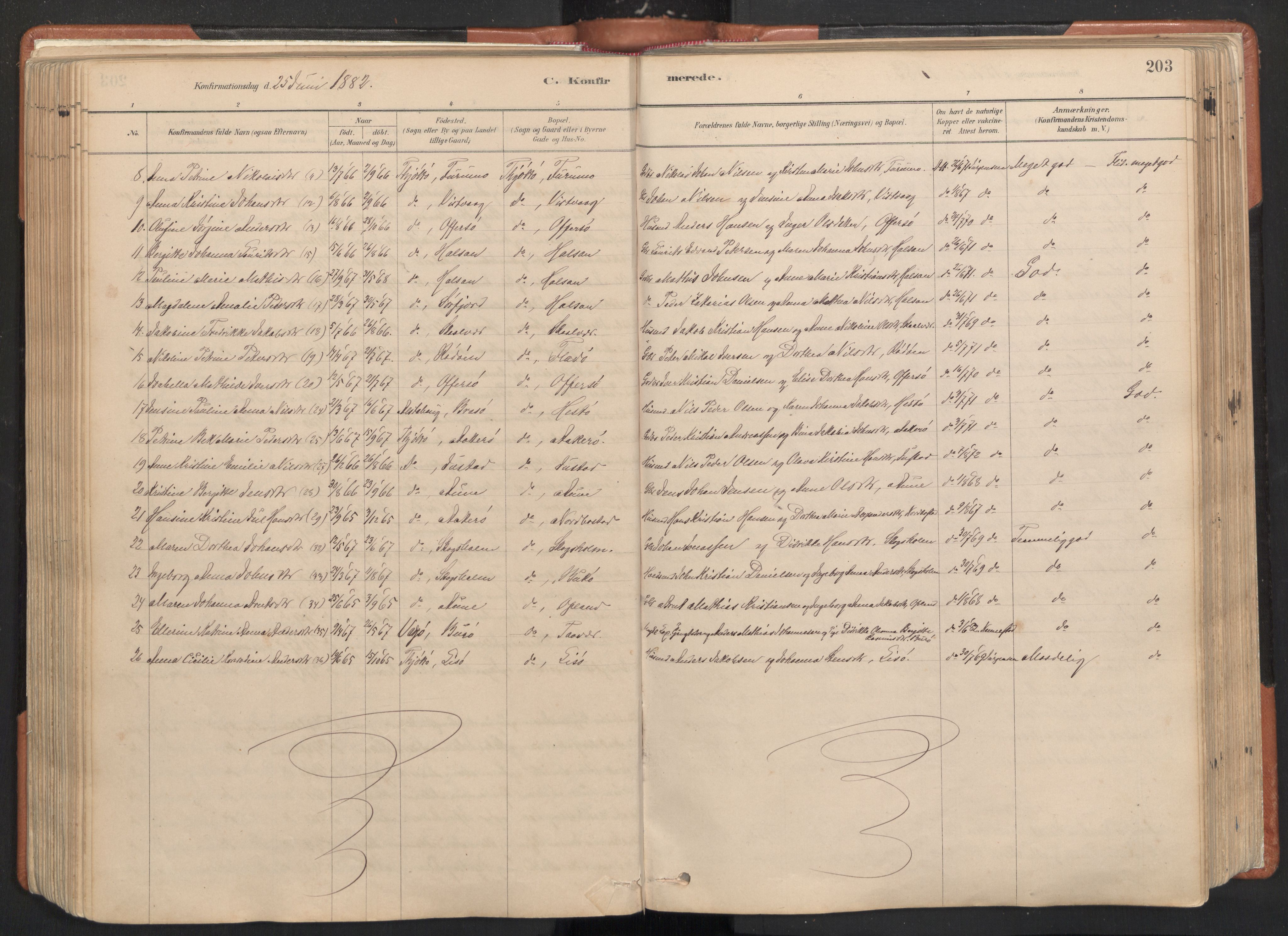 Ministerialprotokoller, klokkerbøker og fødselsregistre - Nordland, AV/SAT-A-1459/817/L0264: Parish register (official) no. 817A04, 1878-1907, p. 203