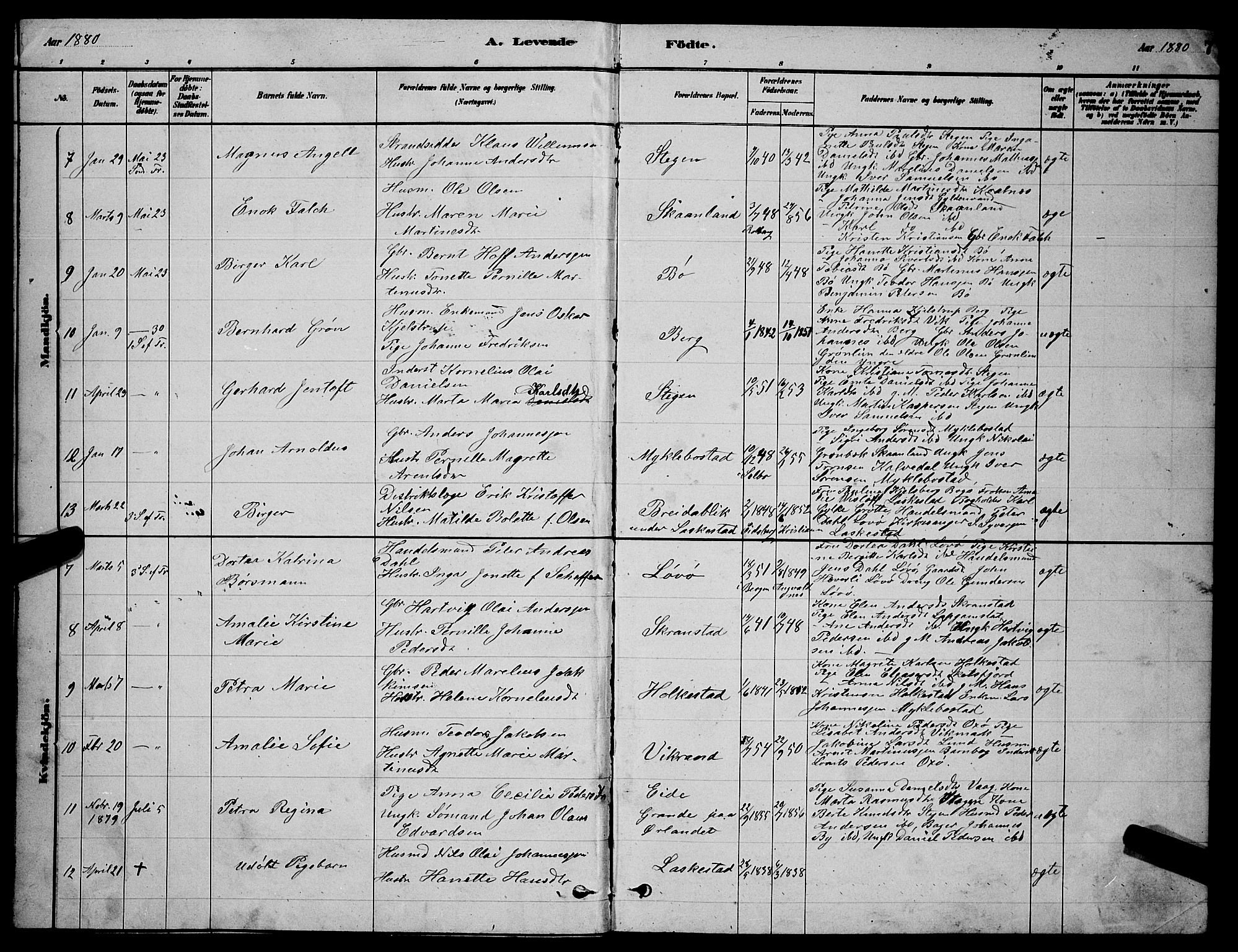 Ministerialprotokoller, klokkerbøker og fødselsregistre - Nordland, AV/SAT-A-1459/855/L0816: Parish register (copy) no. 855C05, 1879-1894, p. 7