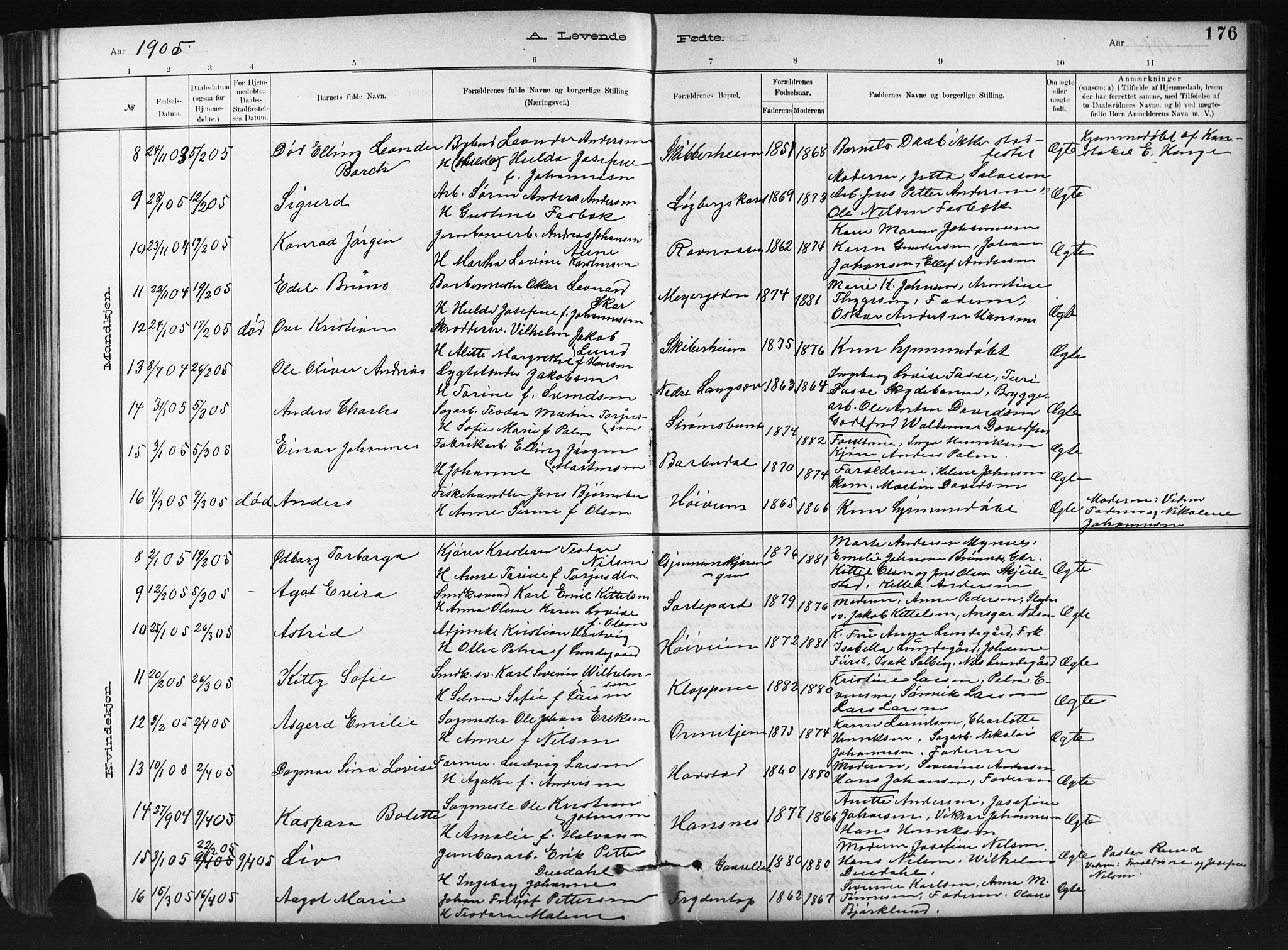 Barbu sokneprestkontor, SAK/1111-0003/F/Fb/L0002: Parish register (copy) no. B 2, 1890-1922, p. 176