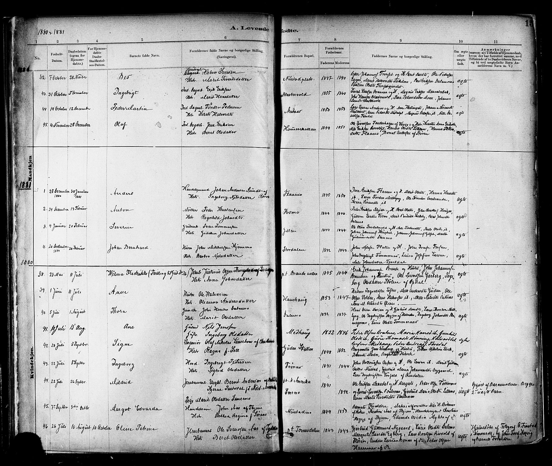 Ministerialprotokoller, klokkerbøker og fødselsregistre - Nord-Trøndelag, SAT/A-1458/706/L0047: Parish register (official) no. 706A03, 1878-1892, p. 15
