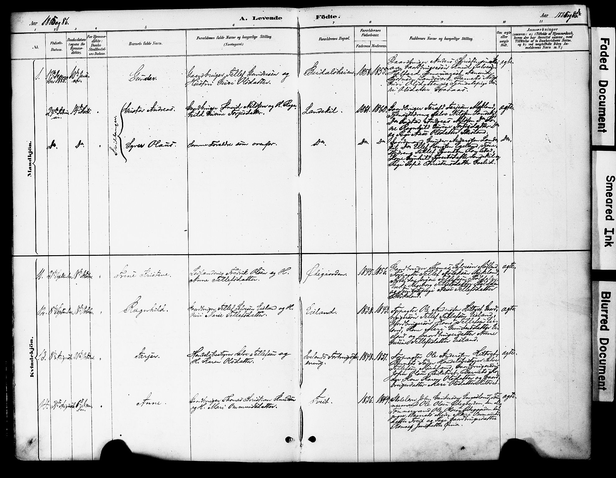 Evje sokneprestkontor, AV/SAK-1111-0008/F/Fa/Fac/L0003: Parish register (official) no. A 3, 1884-1909, p. 4