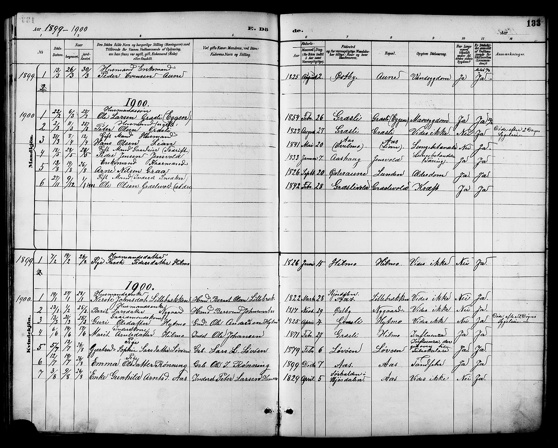Ministerialprotokoller, klokkerbøker og fødselsregistre - Sør-Trøndelag, SAT/A-1456/698/L1167: Parish register (copy) no. 698C04, 1888-1907, p. 133