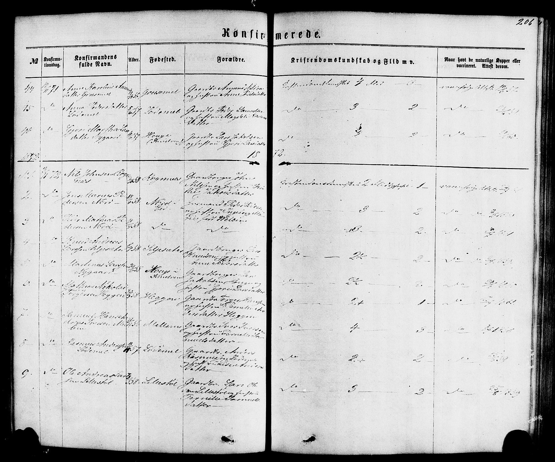 Hornindal sokneprestembete, SAB/A-82401/H/Haa/Haaa/L0002: Parish register (official) no. A 2, 1867-1884, p. 206