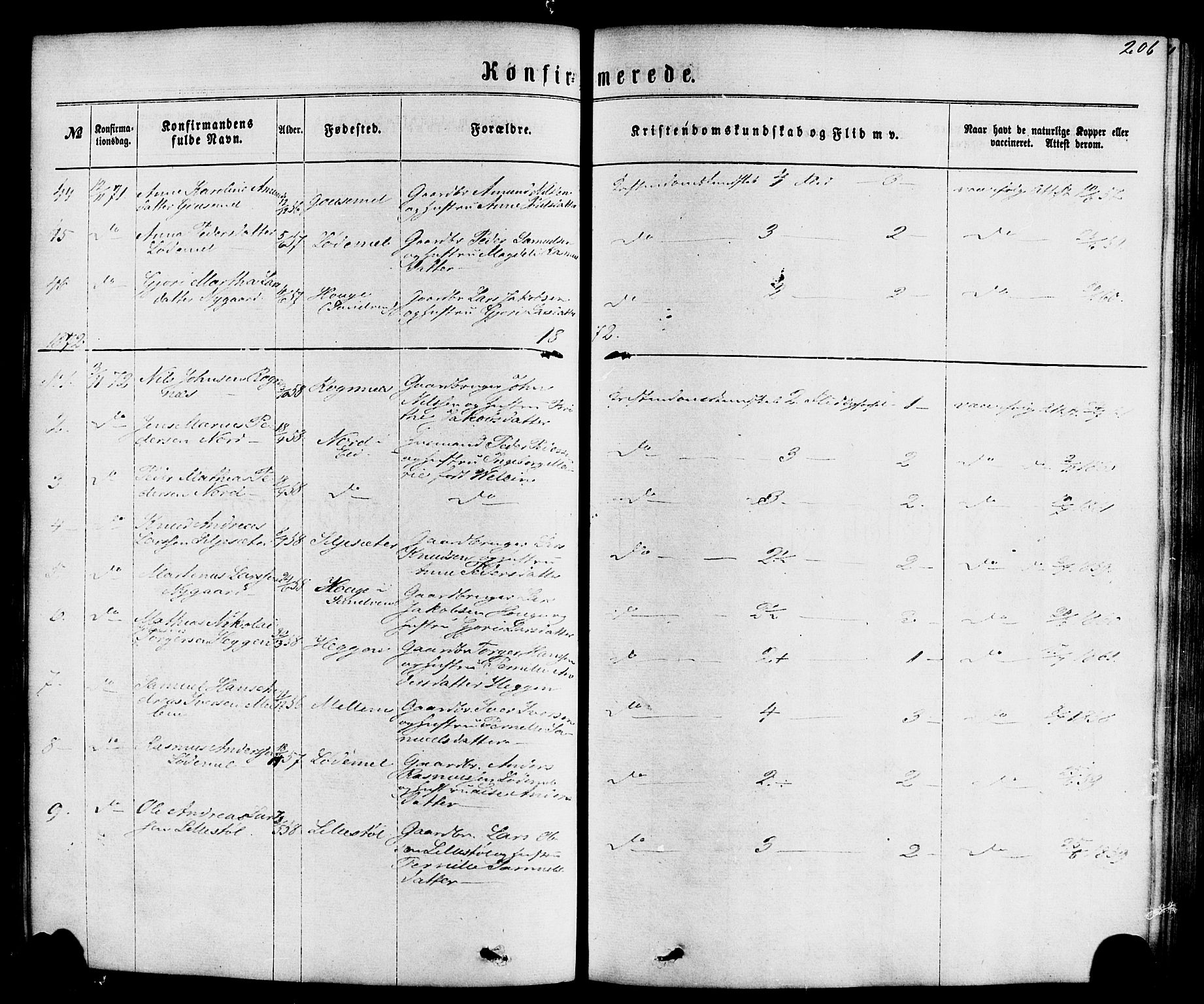 Hornindal sokneprestembete, AV/SAB-A-82401/H/Haa/Haaa/L0002: Parish register (official) no. A 2, 1867-1884, p. 206