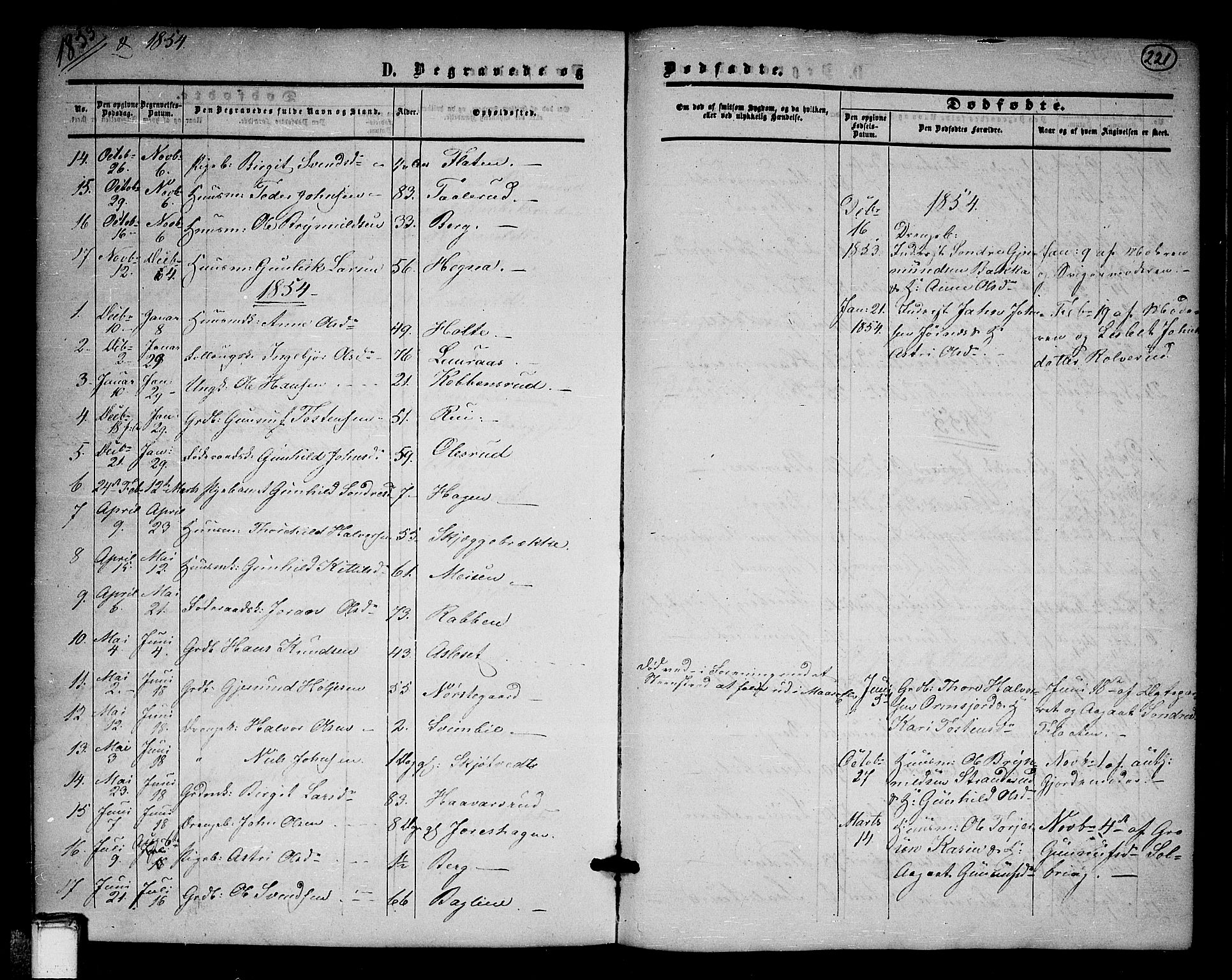 Tinn kirkebøker, SAKO/A-308/G/Ga/L0002: Parish register (copy) no. I 2, 1851-1883, p. 221
