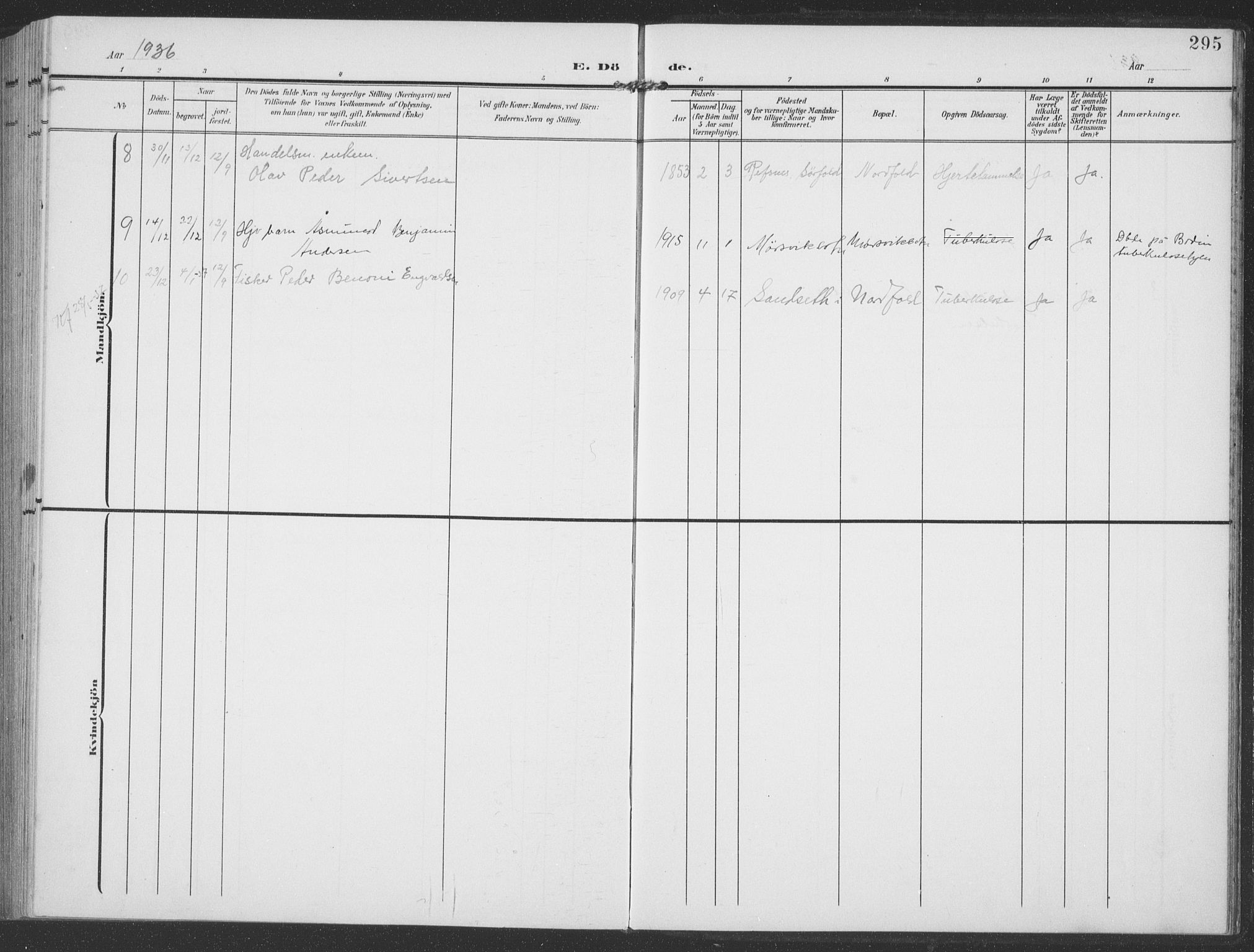 Ministerialprotokoller, klokkerbøker og fødselsregistre - Nordland, AV/SAT-A-1459/858/L0835: Parish register (copy) no. 858C02, 1904-1940, p. 295