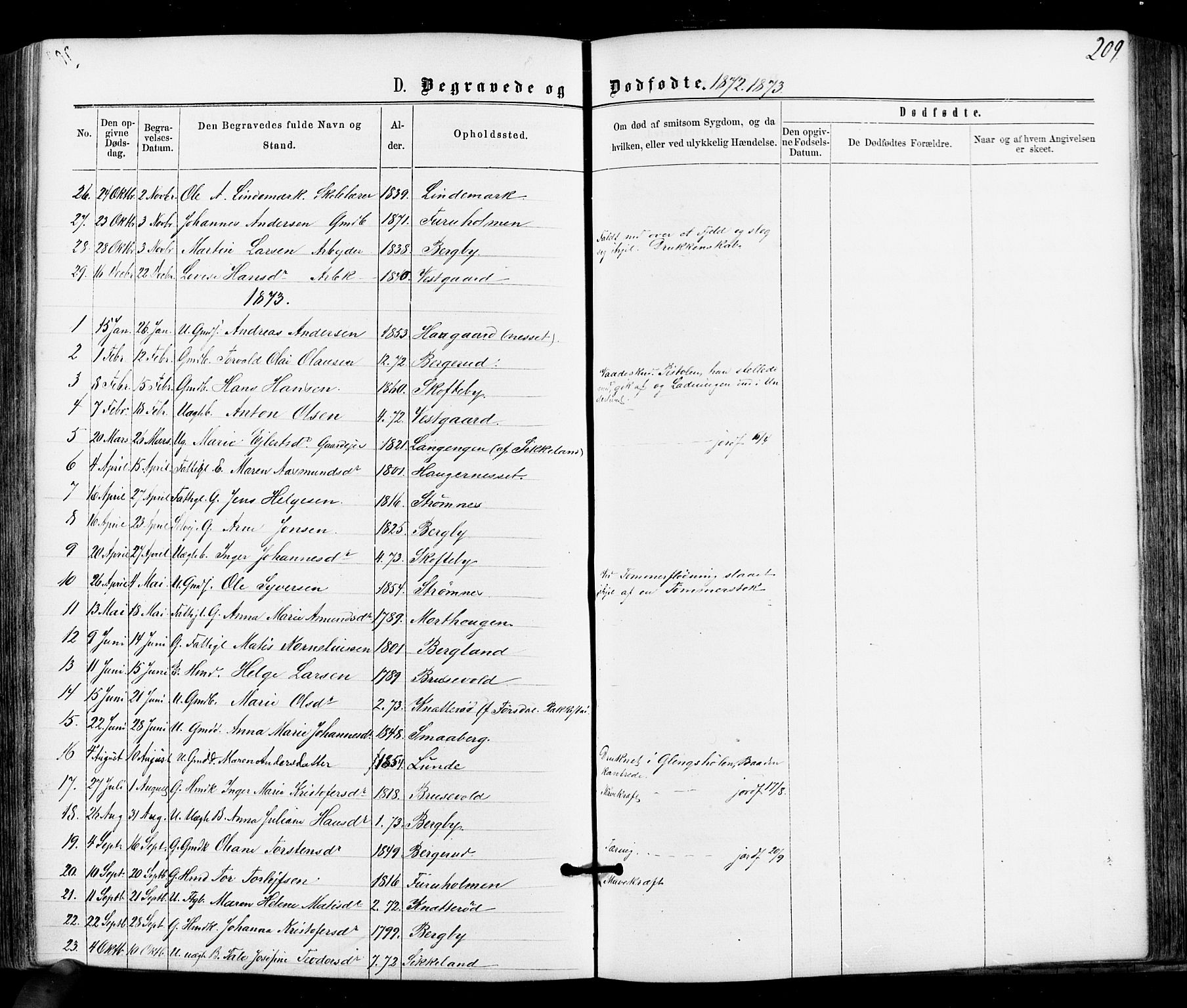 Varteig prestekontor Kirkebøker, AV/SAO-A-10447a/F/Fa/L0001: Parish register (official) no. 1, 1861-1877, p. 209