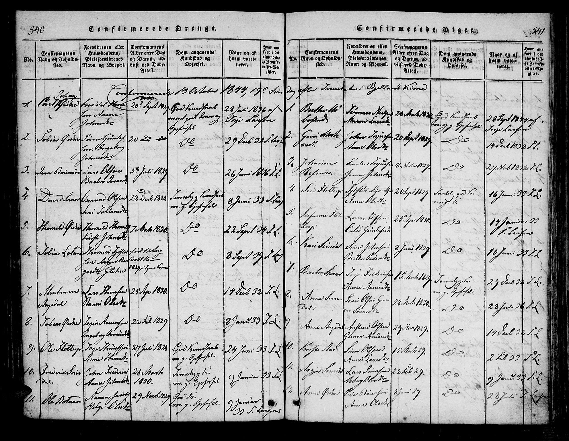 Bjelland sokneprestkontor, SAK/1111-0005/F/Fa/Fac/L0001: Parish register (official) no. A 1, 1815-1866, p. 540-541