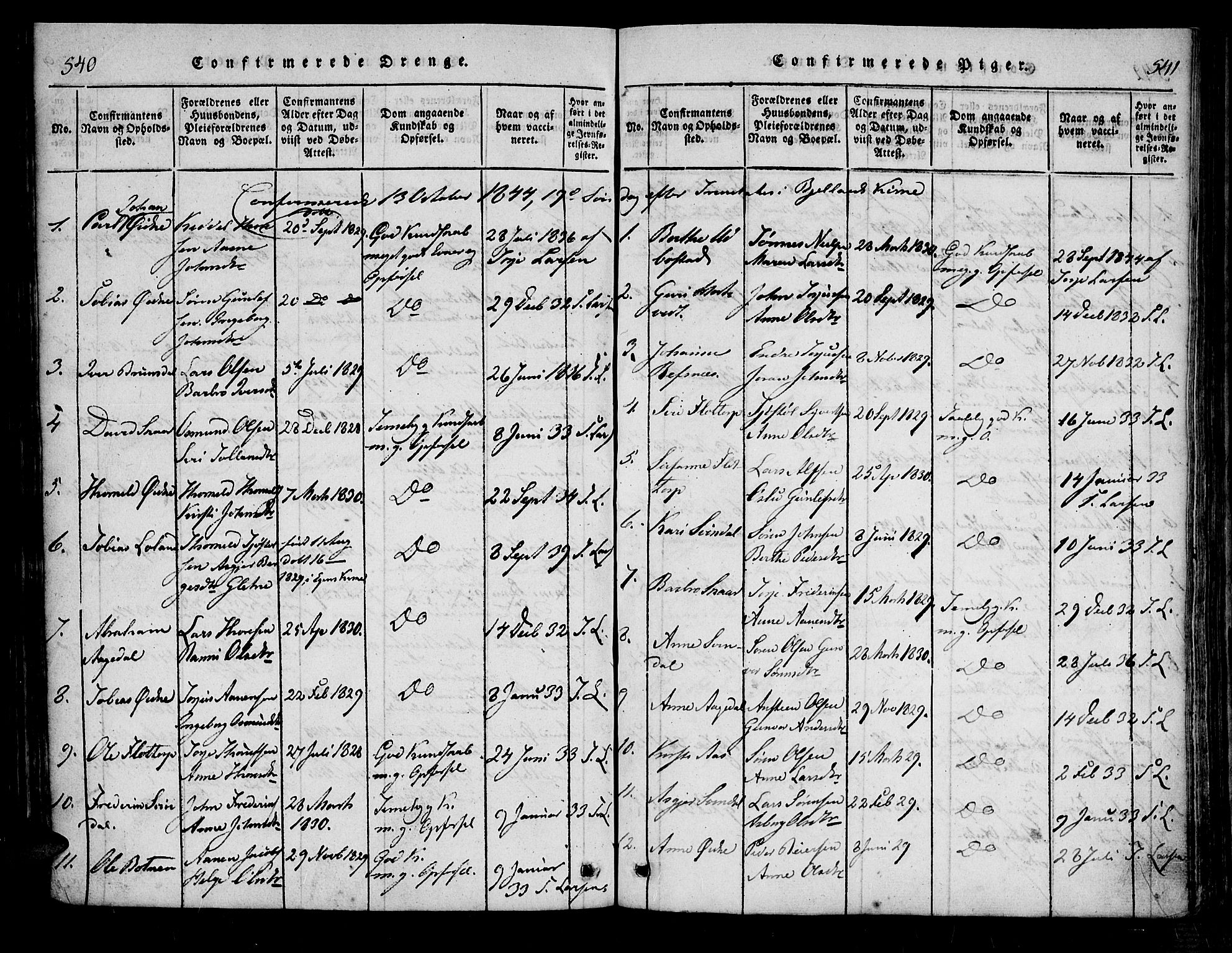 Bjelland sokneprestkontor, AV/SAK-1111-0005/F/Fa/Fac/L0001: Parish register (official) no. A 1, 1815-1866, p. 540-541