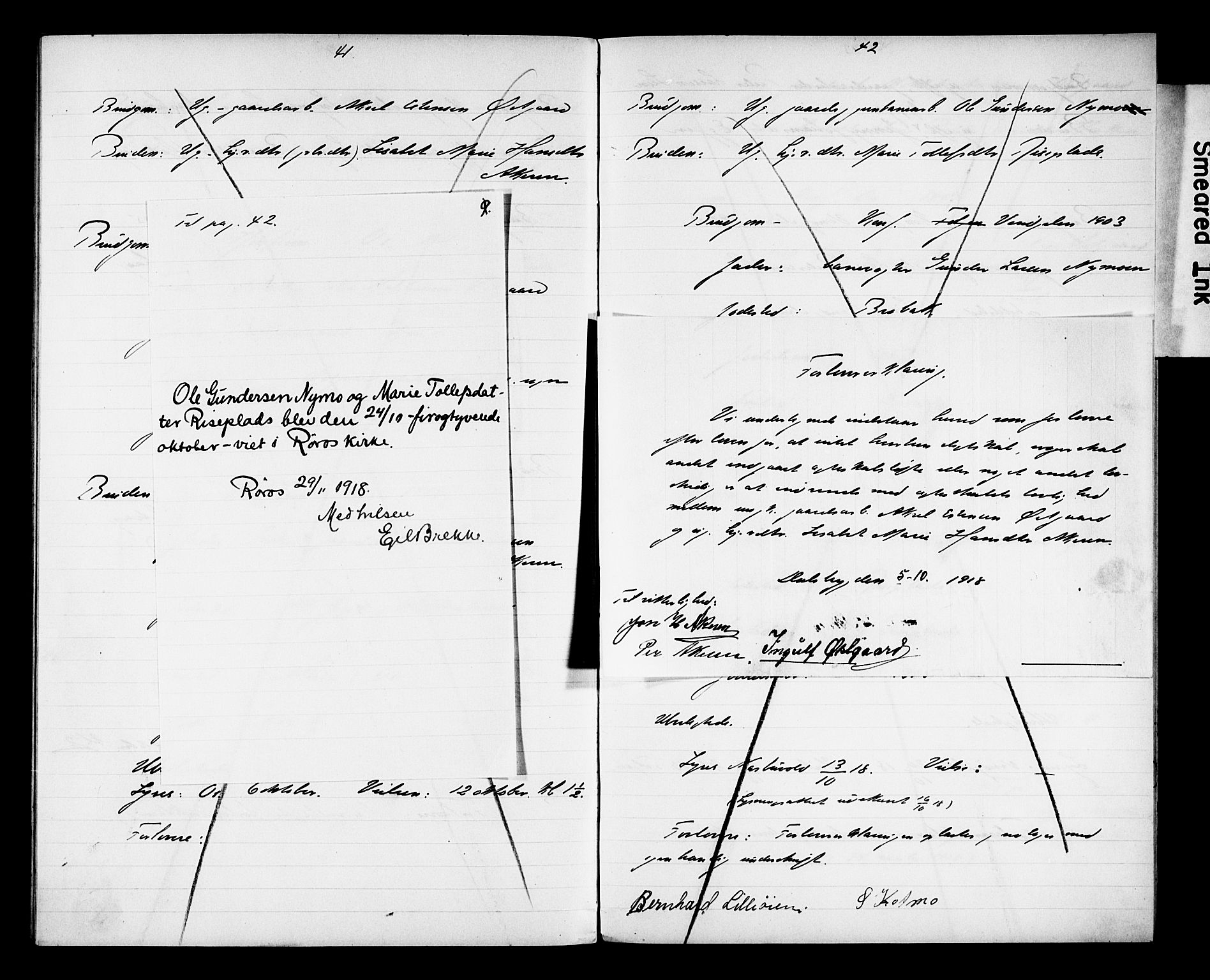 Tolga prestekontor, AV/SAH-PREST-062/N/L0004: Banns register no. 31, 1916-1920, p. 41-42