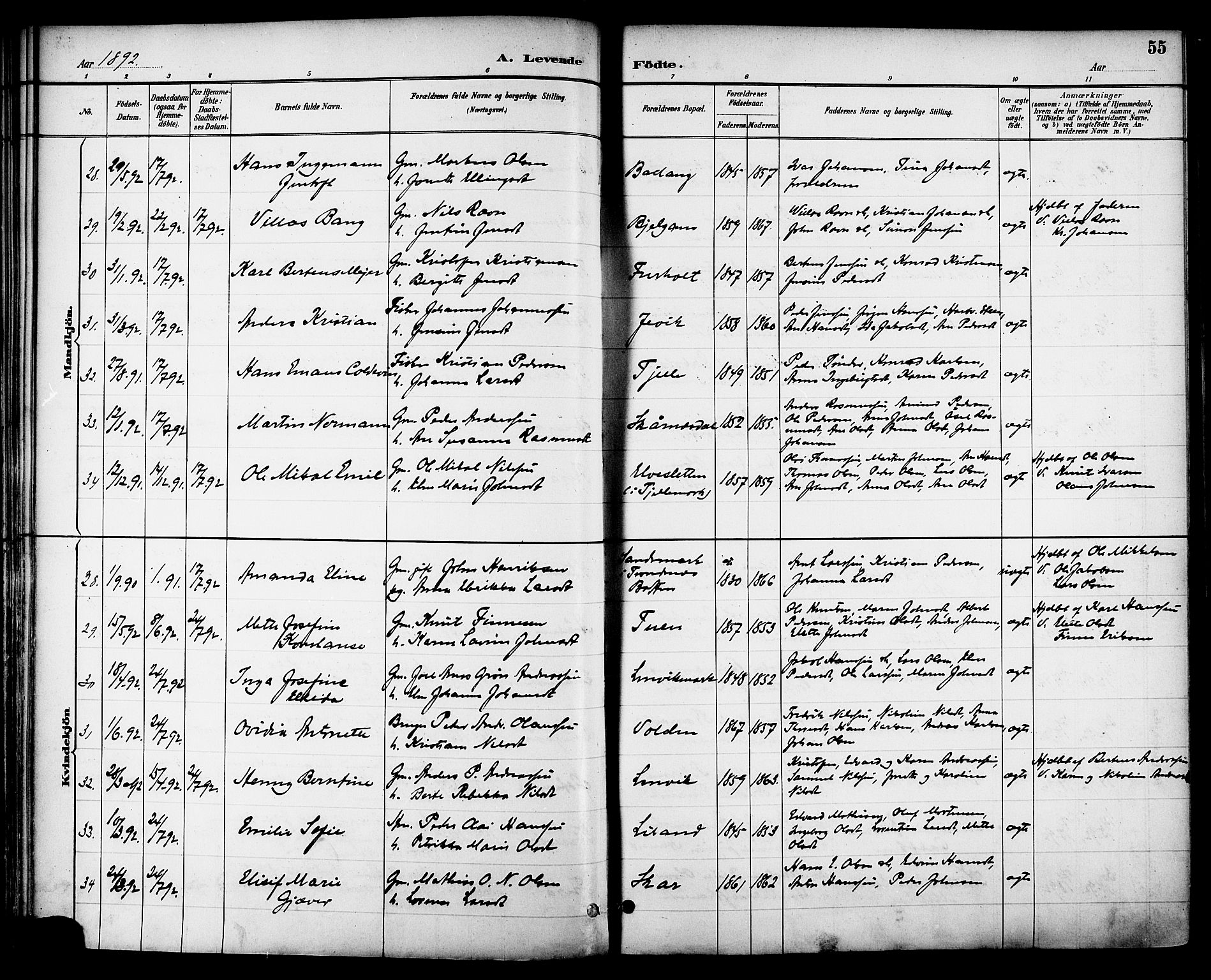 Ministerialprotokoller, klokkerbøker og fødselsregistre - Nordland, AV/SAT-A-1459/863/L0898: Parish register (official) no. 863A10, 1886-1897, p. 55