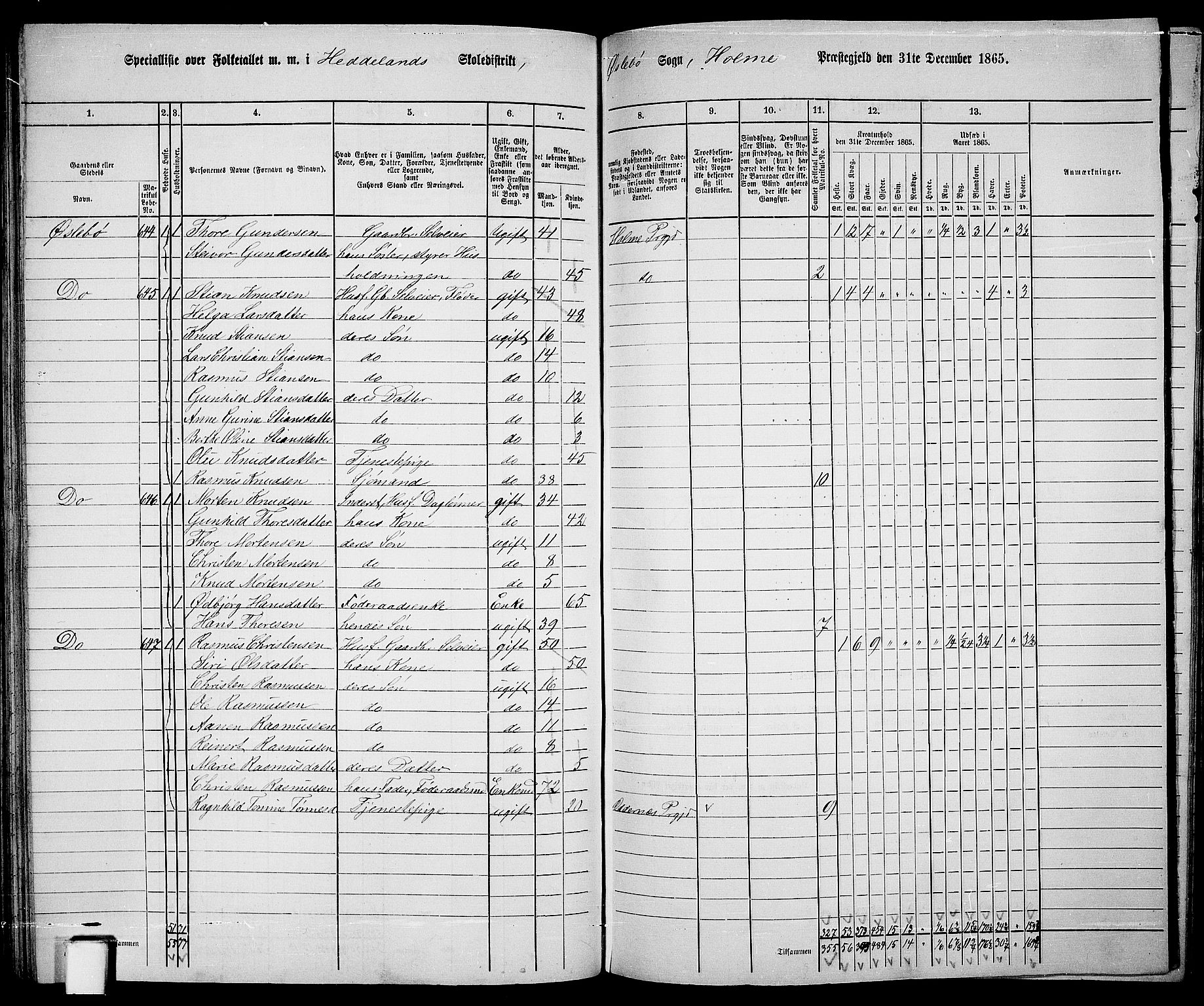 RA, 1865 census for Holum, 1865, p. 99