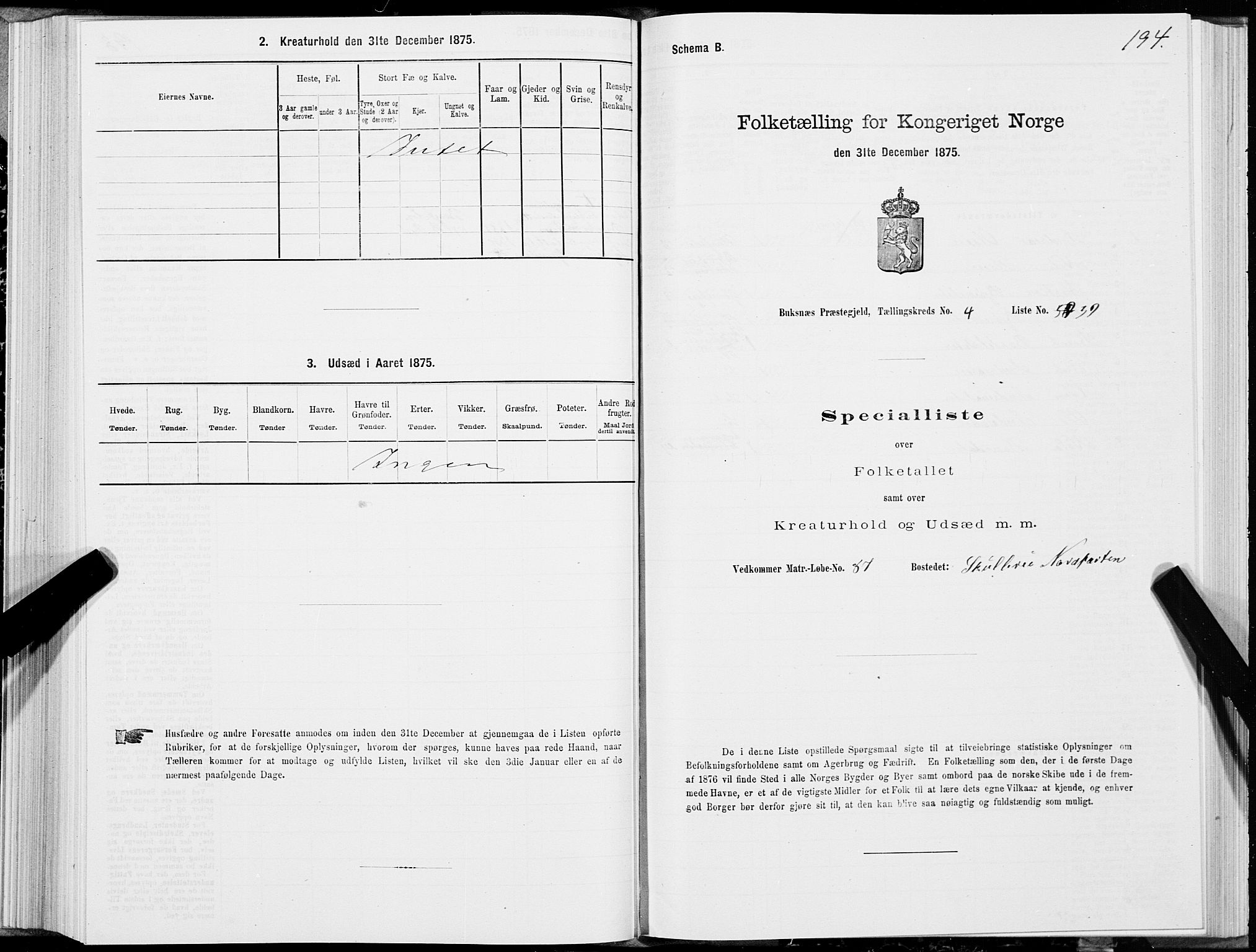 SAT, 1875 census for 1860P Buksnes, 1875, p. 2194