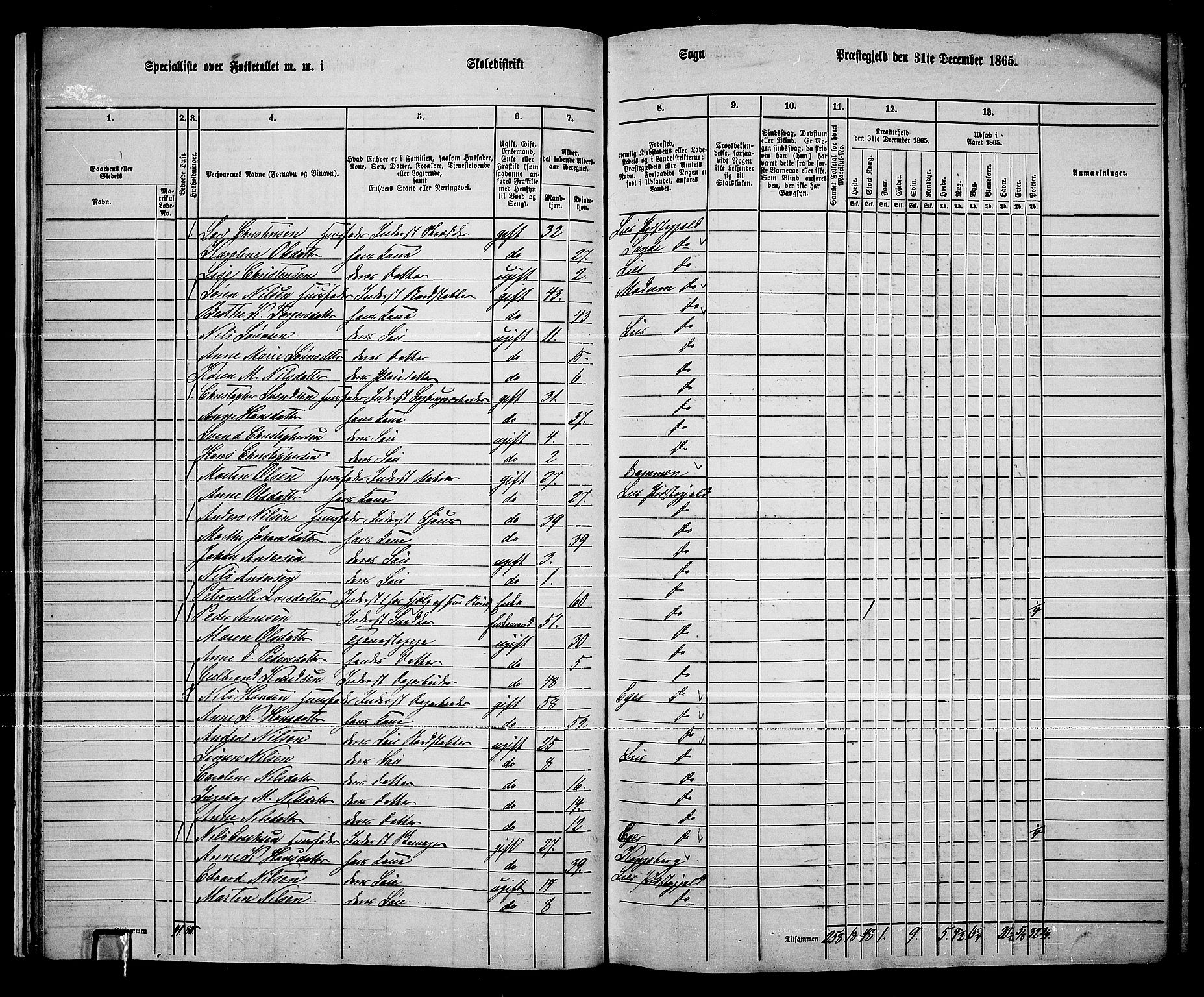 RA, 1865 census for Lier, 1865, p. 26