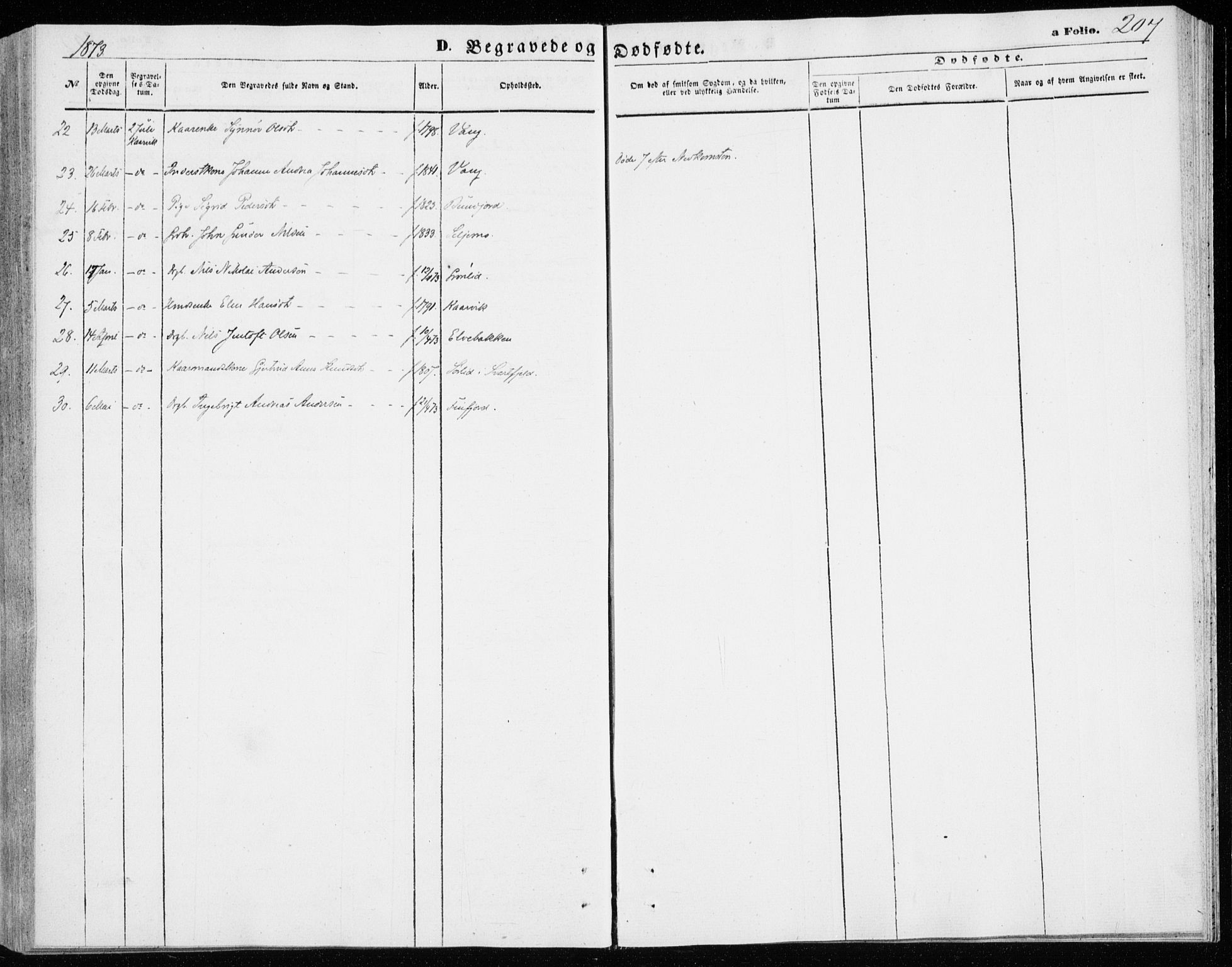 Lenvik sokneprestembete, AV/SATØ-S-1310/H/Ha/Haa/L0009kirke: Parish register (official) no. 9, 1866-1873, p. 207