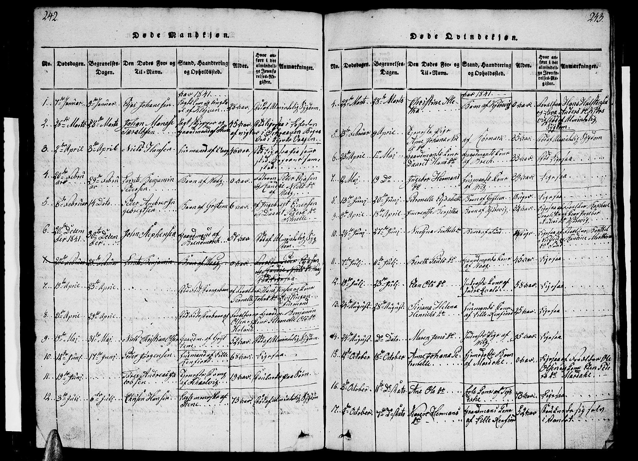 Ministerialprotokoller, klokkerbøker og fødselsregistre - Nordland, AV/SAT-A-1459/812/L0186: Parish register (copy) no. 812C04, 1820-1849, p. 242-243