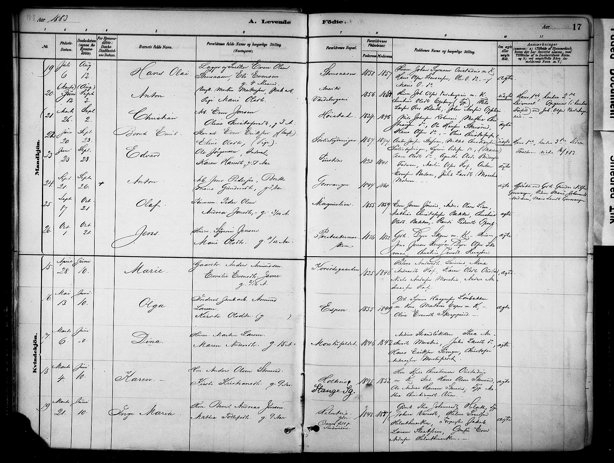 Stange prestekontor, SAH/PREST-002/K/L0018: Parish register (official) no. 18, 1880-1896, p. 17