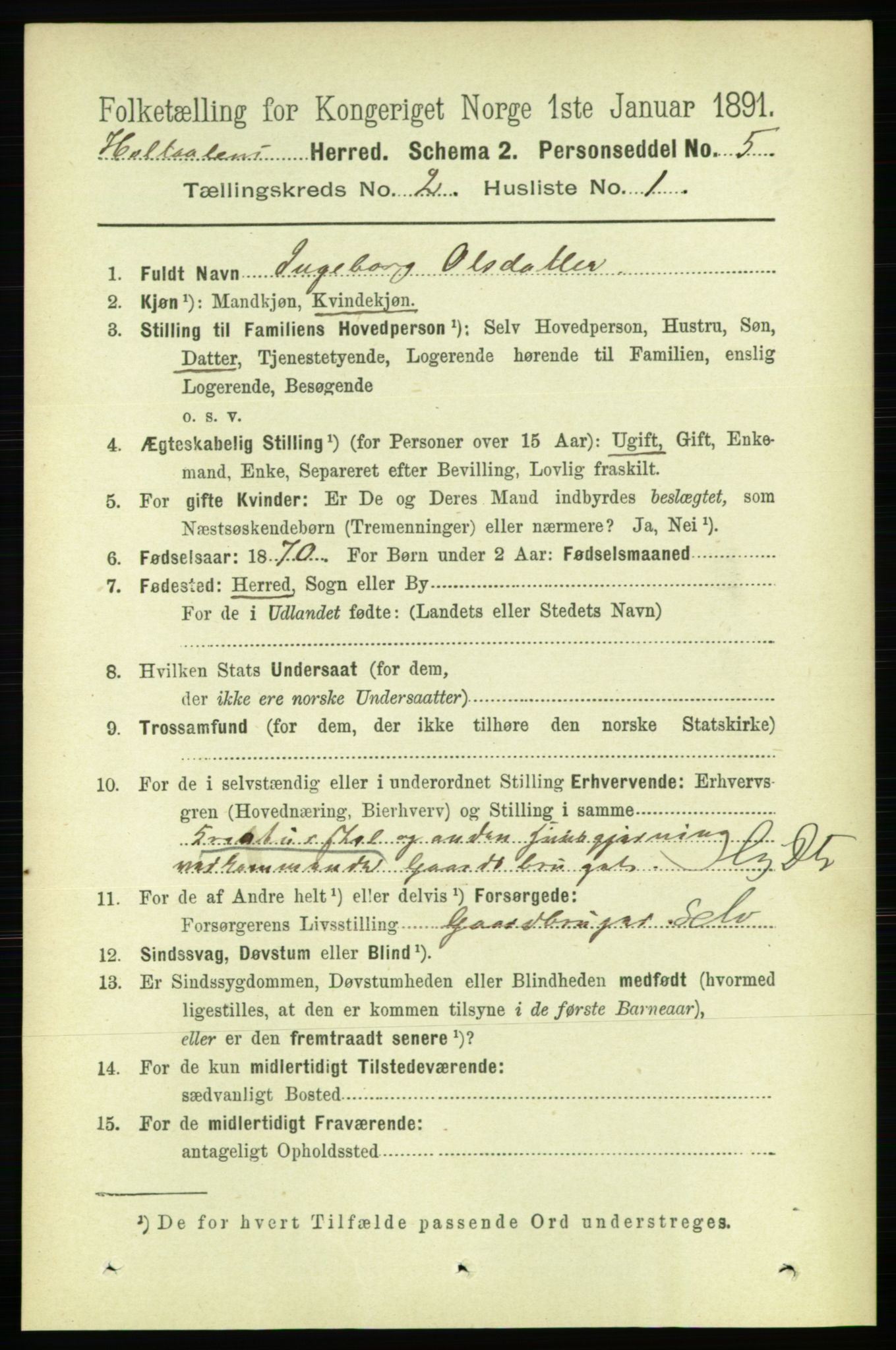 RA, 1891 census for 1645 Haltdalen, 1891, p. 677