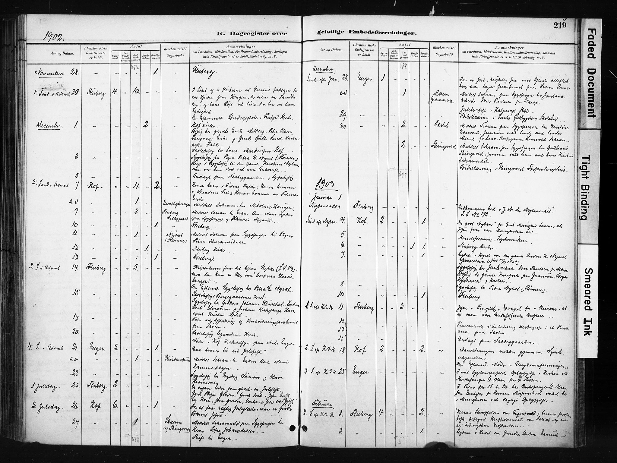 Søndre Land prestekontor, AV/SAH-PREST-122/K/L0004: Parish register (official) no. 4, 1895-1904, p. 219