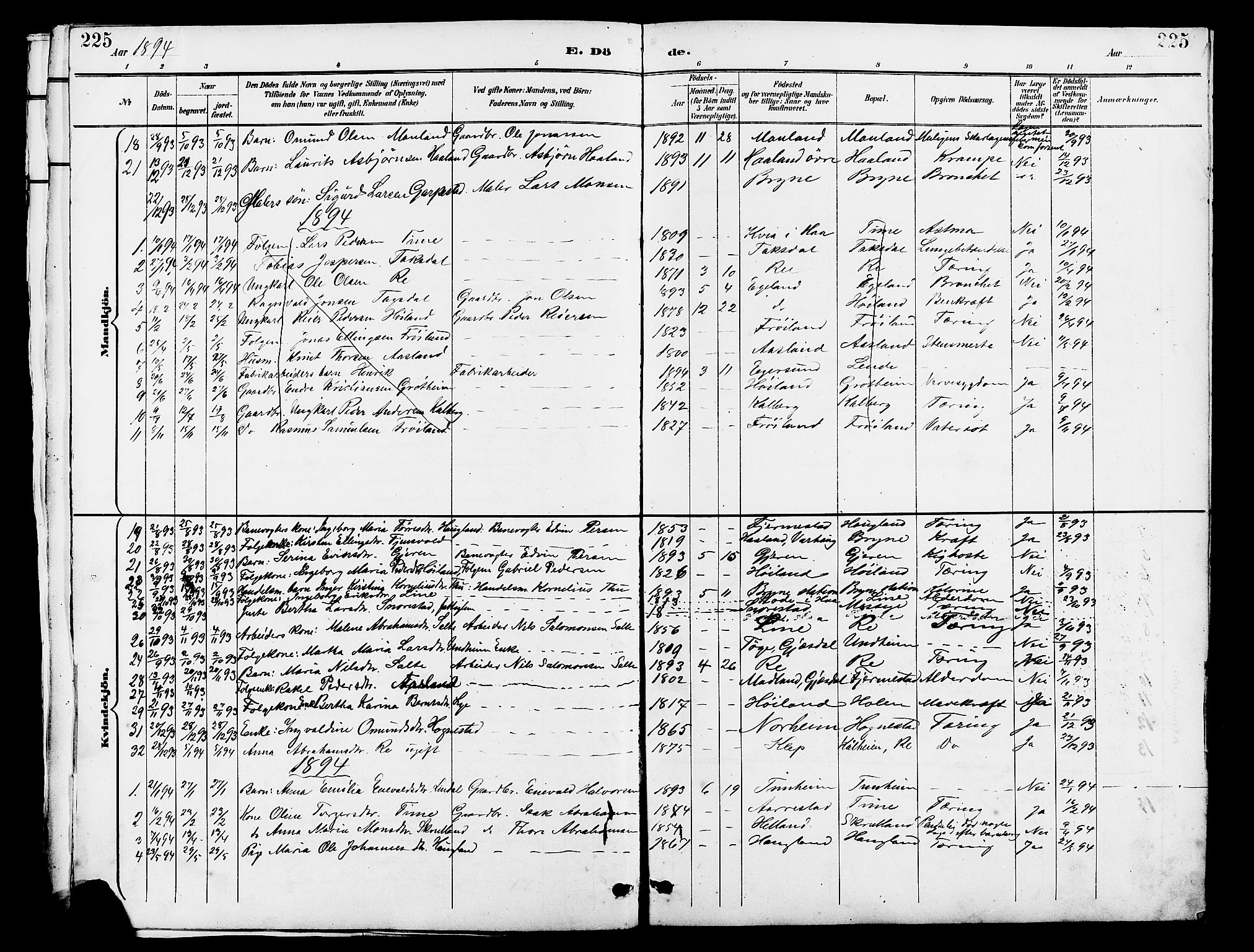 Lye sokneprestkontor, SAST/A-101794/001/30BB/L0007: Parish register (copy) no. B 8, 1889-1909, p. 225