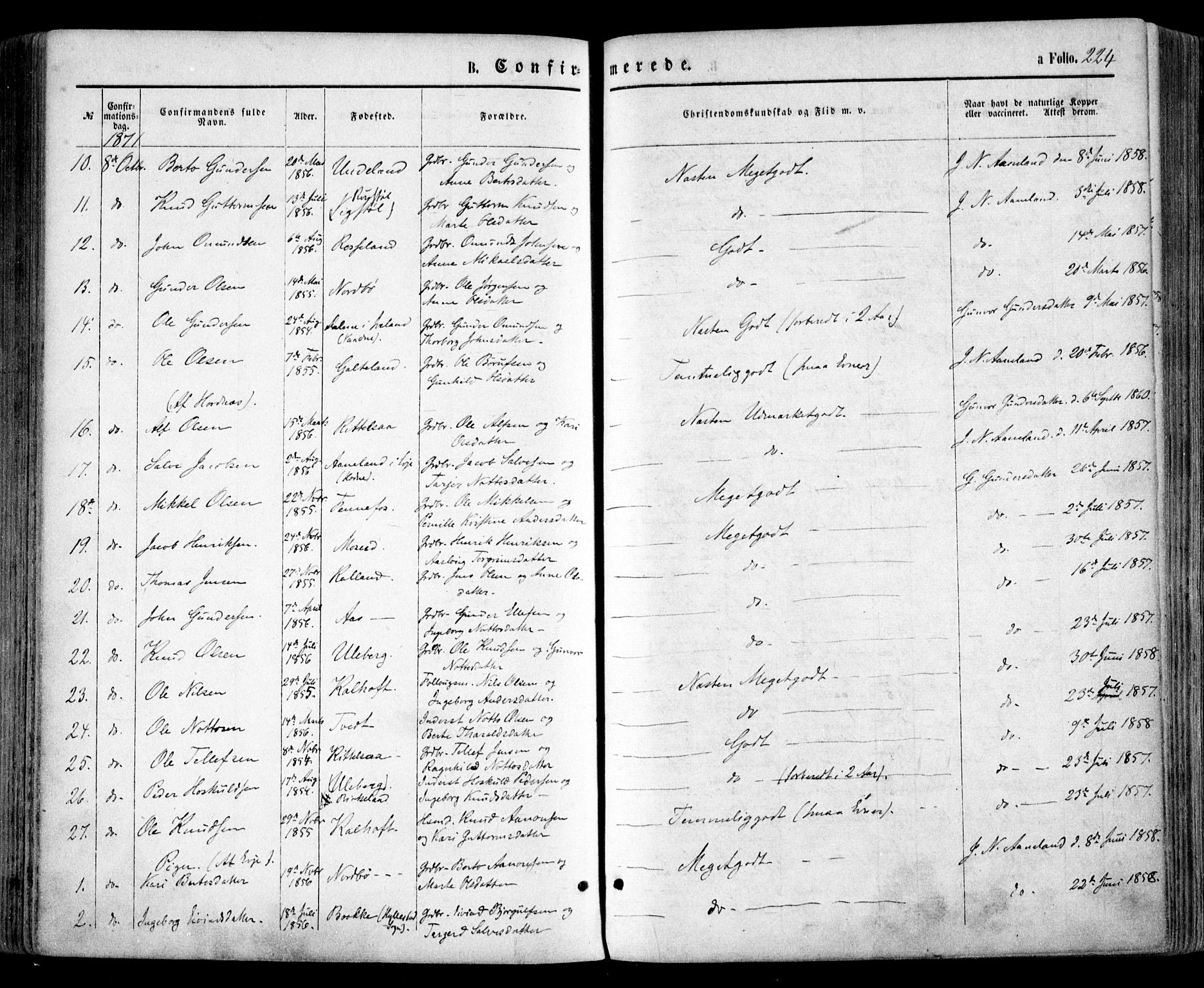 Evje sokneprestkontor, AV/SAK-1111-0008/F/Fa/Faa/L0006: Parish register (official) no. A 6, 1866-1884, p. 224