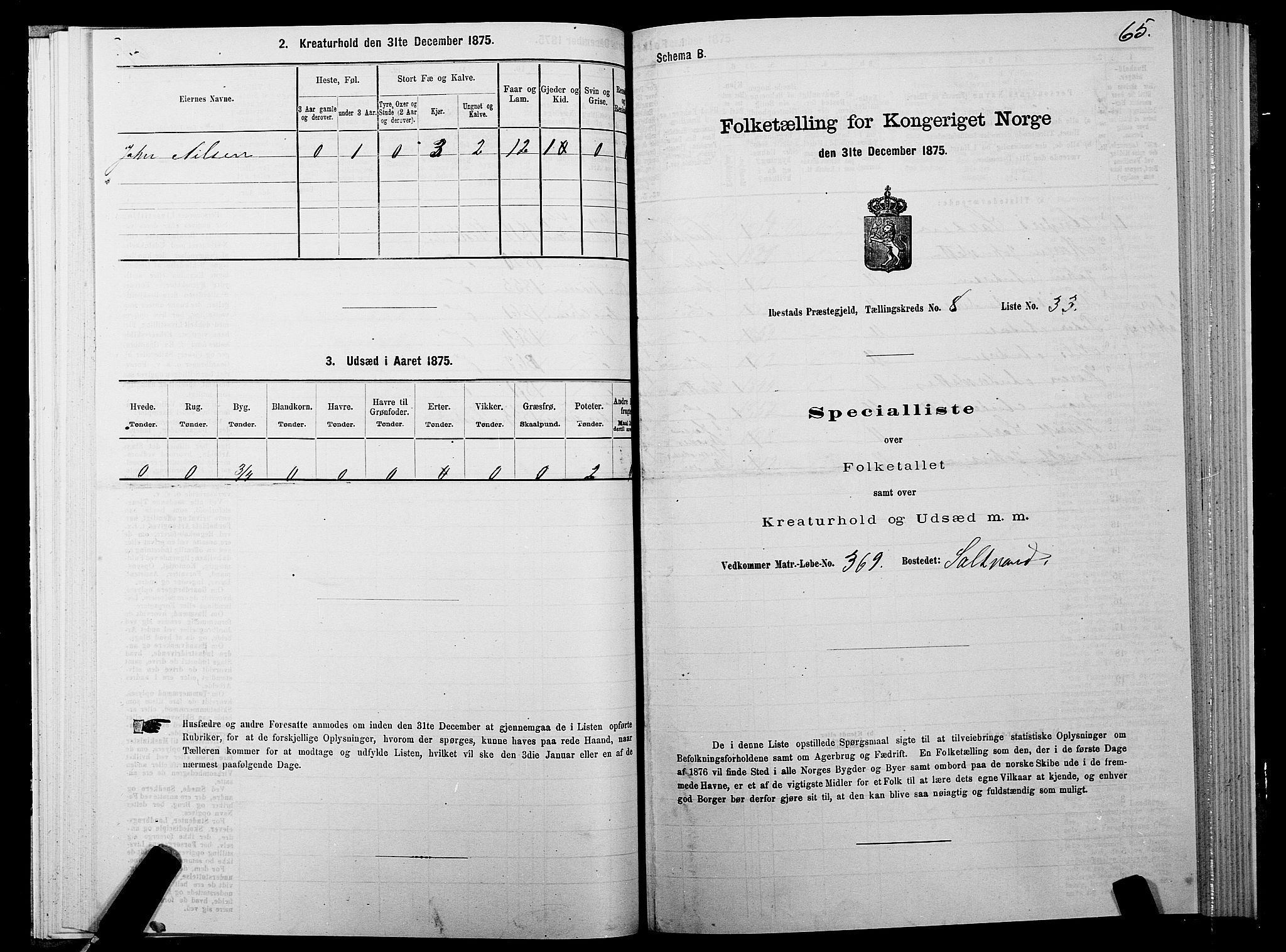 SATØ, 1875 census for 1917P Ibestad, 1875, p. 5065