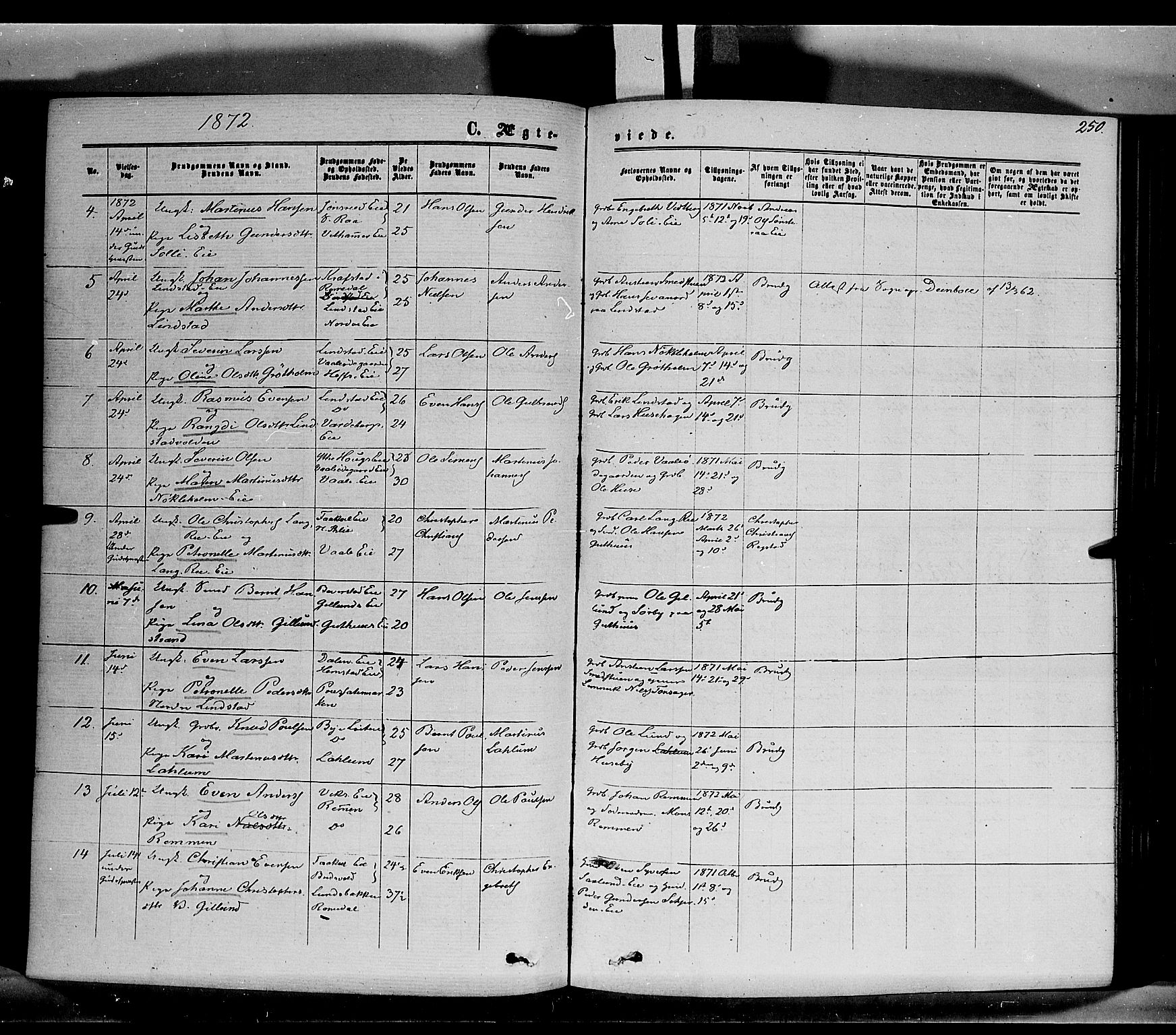 Stange prestekontor, AV/SAH-PREST-002/K/L0013: Parish register (official) no. 13, 1862-1879, p. 250