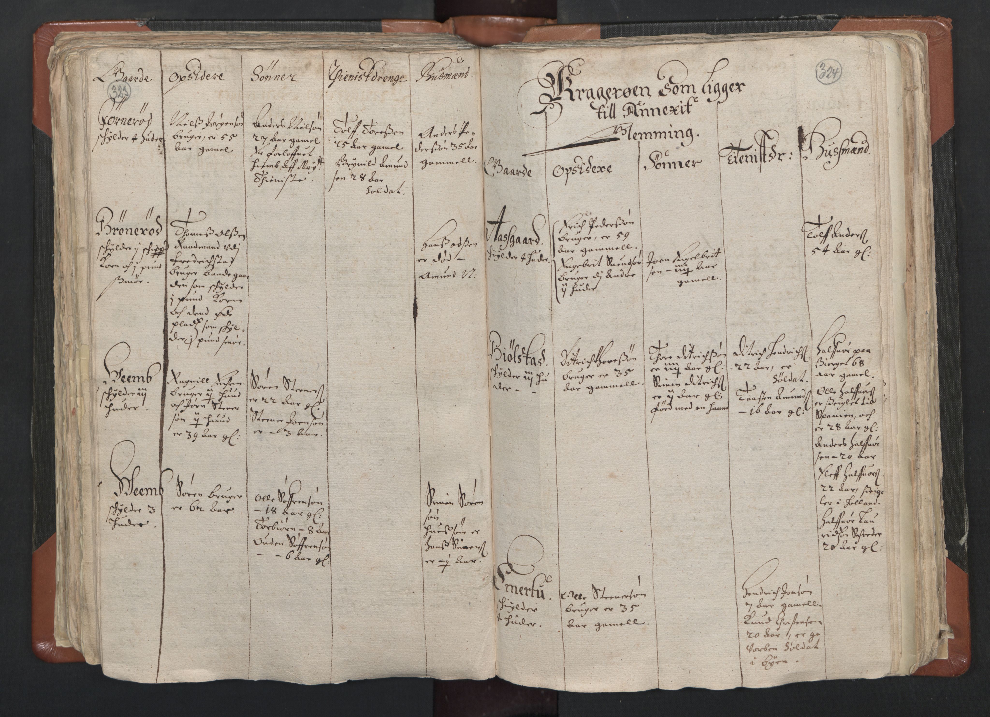 RA, Vicar's Census 1664-1666, no. 1: Nedre Borgesyssel deanery, 1664-1666, p. 323-324
