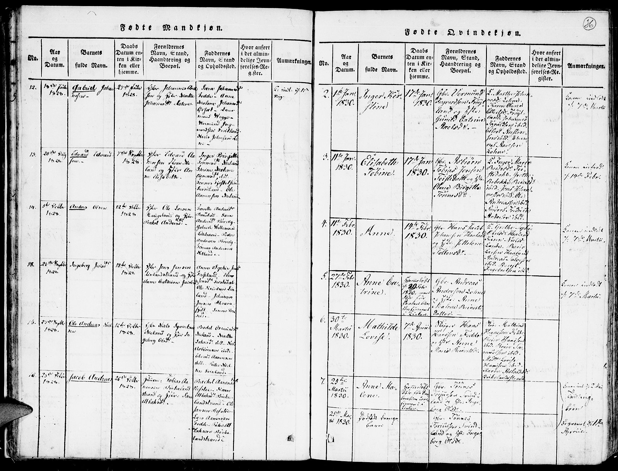 Kvinesdal sokneprestkontor, SAK/1111-0026/F/Fa/Faa/L0001: Parish register (official) no. A 1, 1815-1849, p. 36