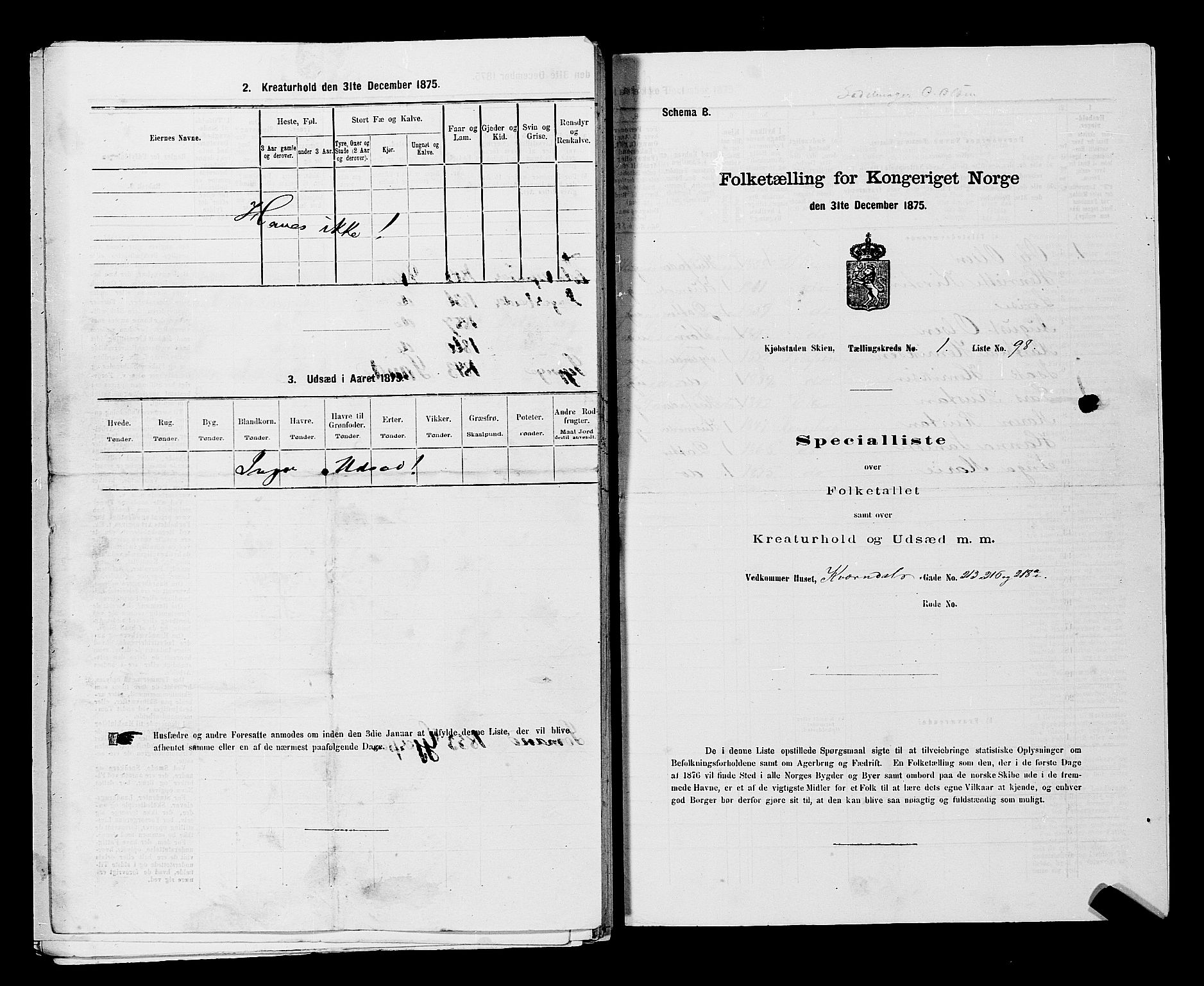 SAKO, 1875 census for 0806P Skien, 1875, p. 244