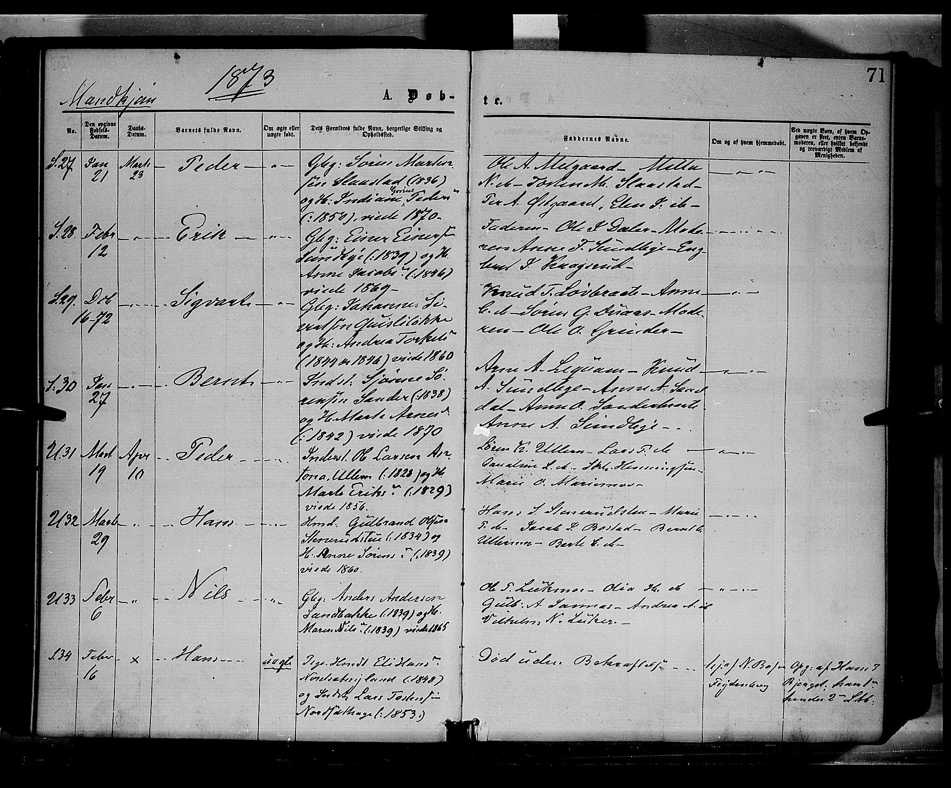 Sør-Odal prestekontor, SAH/PREST-030/H/Ha/Haa/L0004: Parish register (official) no. 4, 1870-1875, p. 71