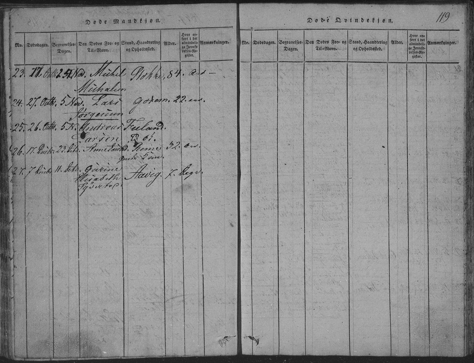 Sør-Audnedal sokneprestkontor, AV/SAK-1111-0039/F/Fb/Fba/L0001: Parish register (copy) no. B 1, 1815-1850, p. 119