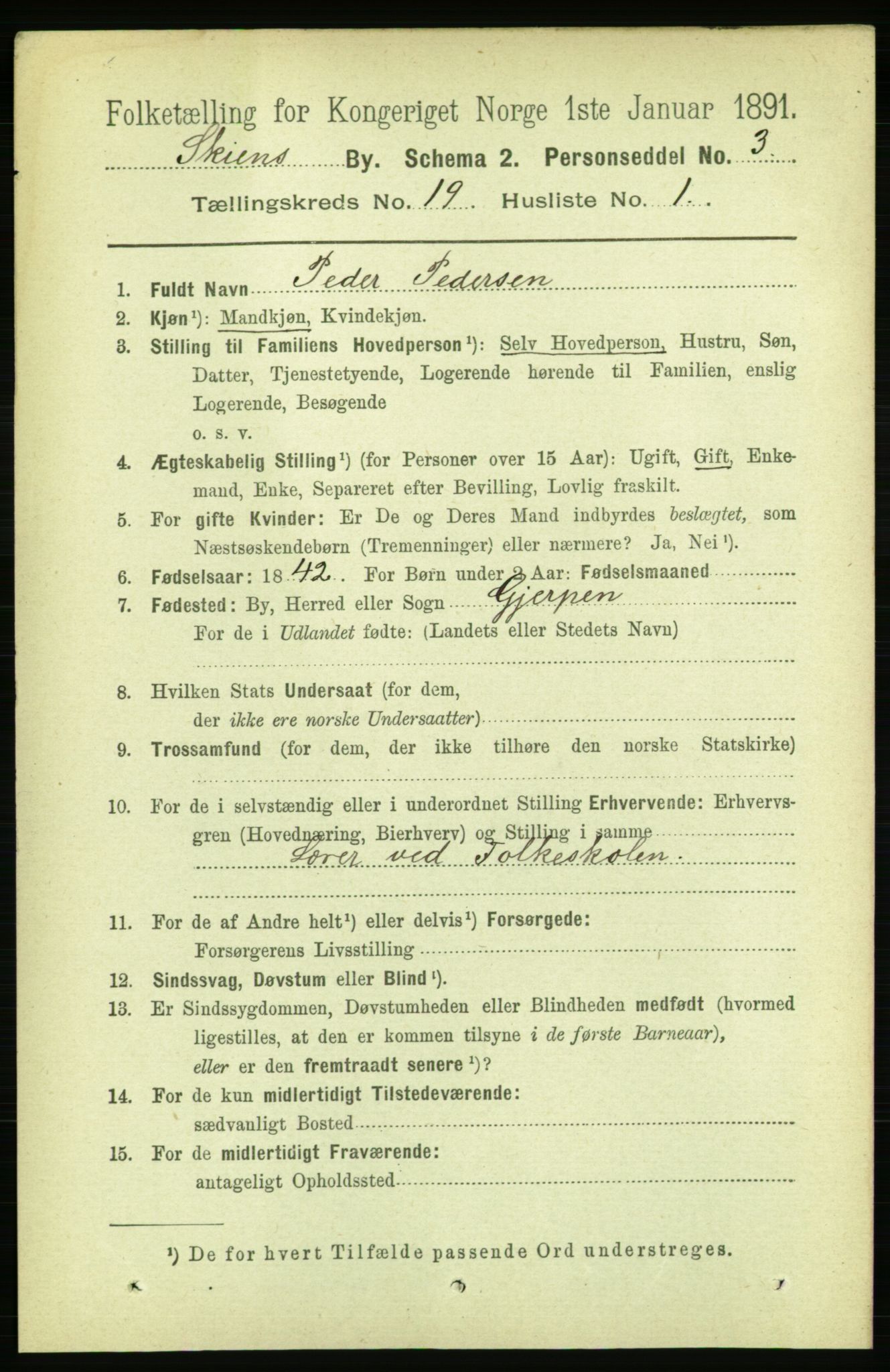 RA, 1891 census for 0806 Skien, 1891, p. 5064