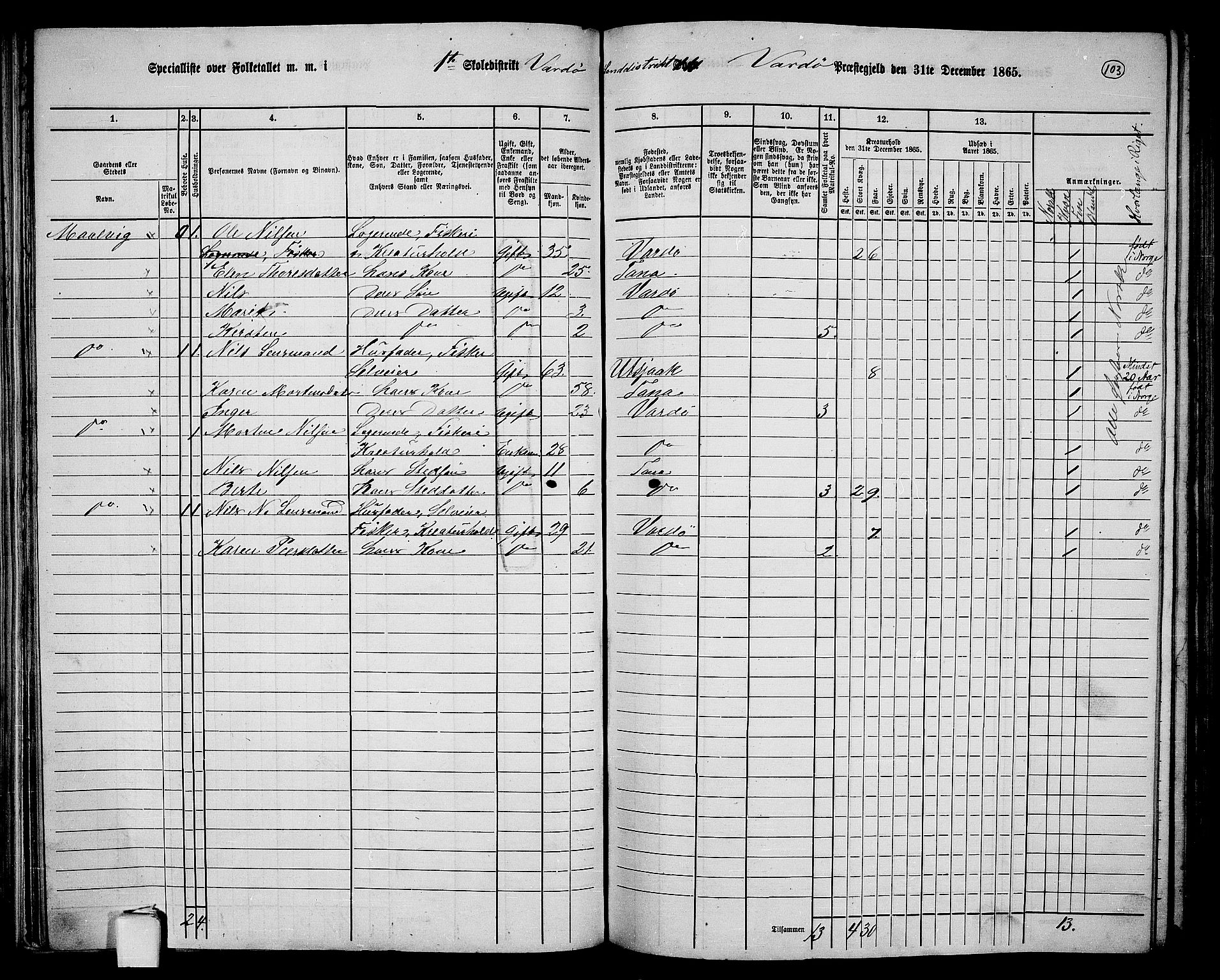 RA, 1865 census for Vardø/Vardø, 1865, p. 11