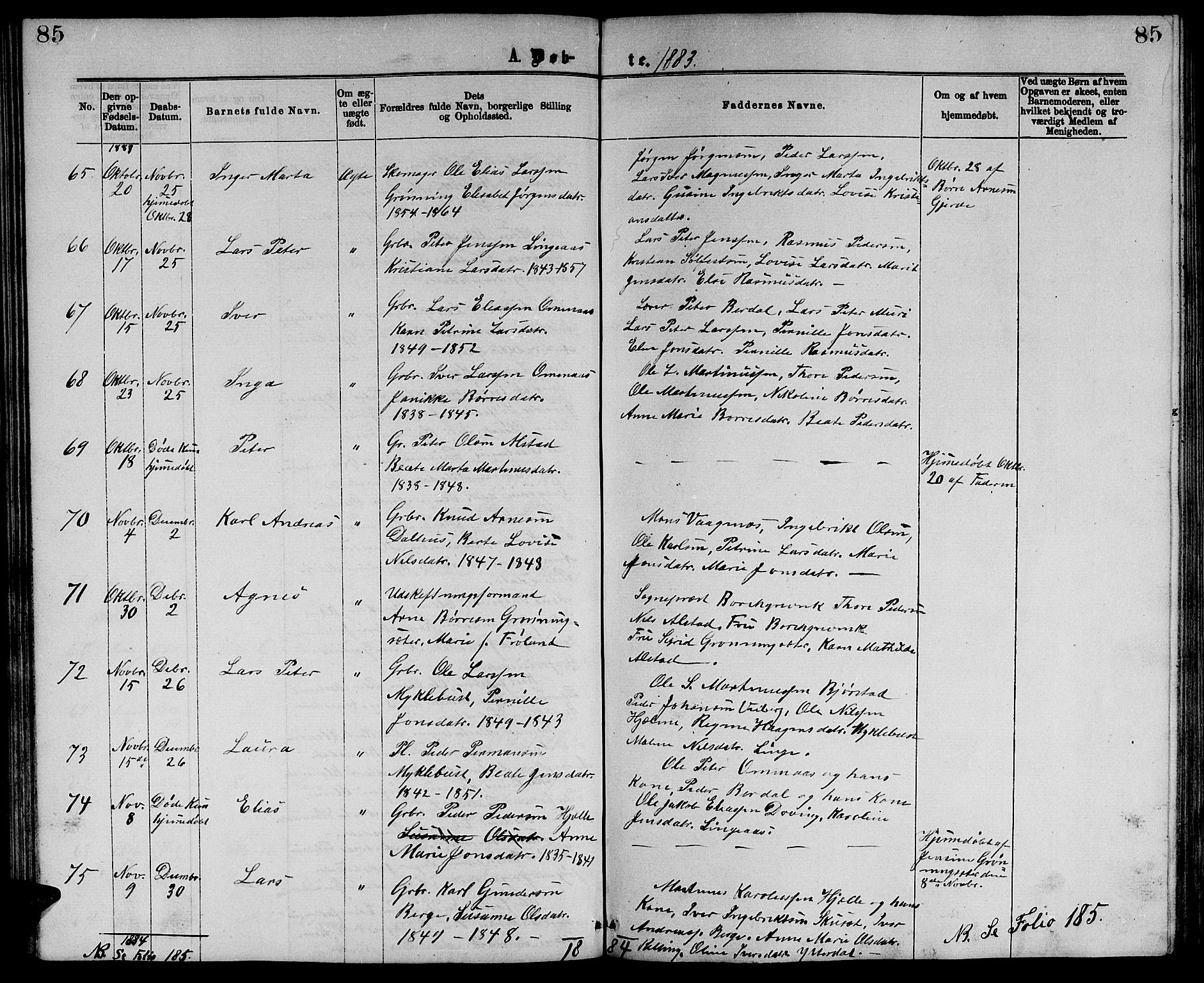 Ministerialprotokoller, klokkerbøker og fødselsregistre - Møre og Romsdal, SAT/A-1454/519/L0262: Parish register (copy) no. 519C03, 1866-1884, p. 85