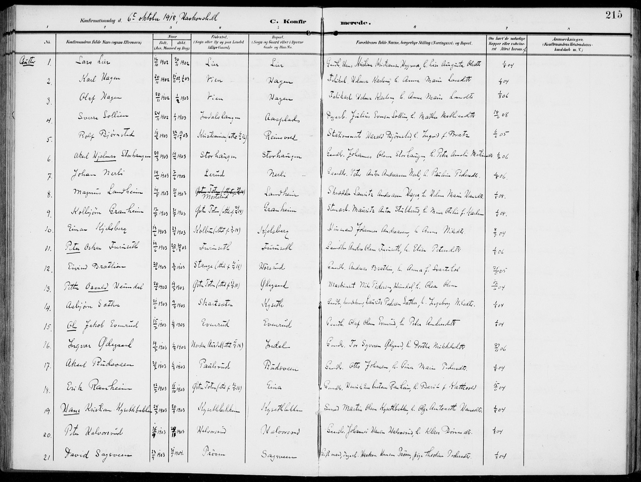 Vestre Toten prestekontor, SAH/PREST-108/H/Ha/Haa/L0014: Parish register (official) no. 14, 1907-1920, p. 215