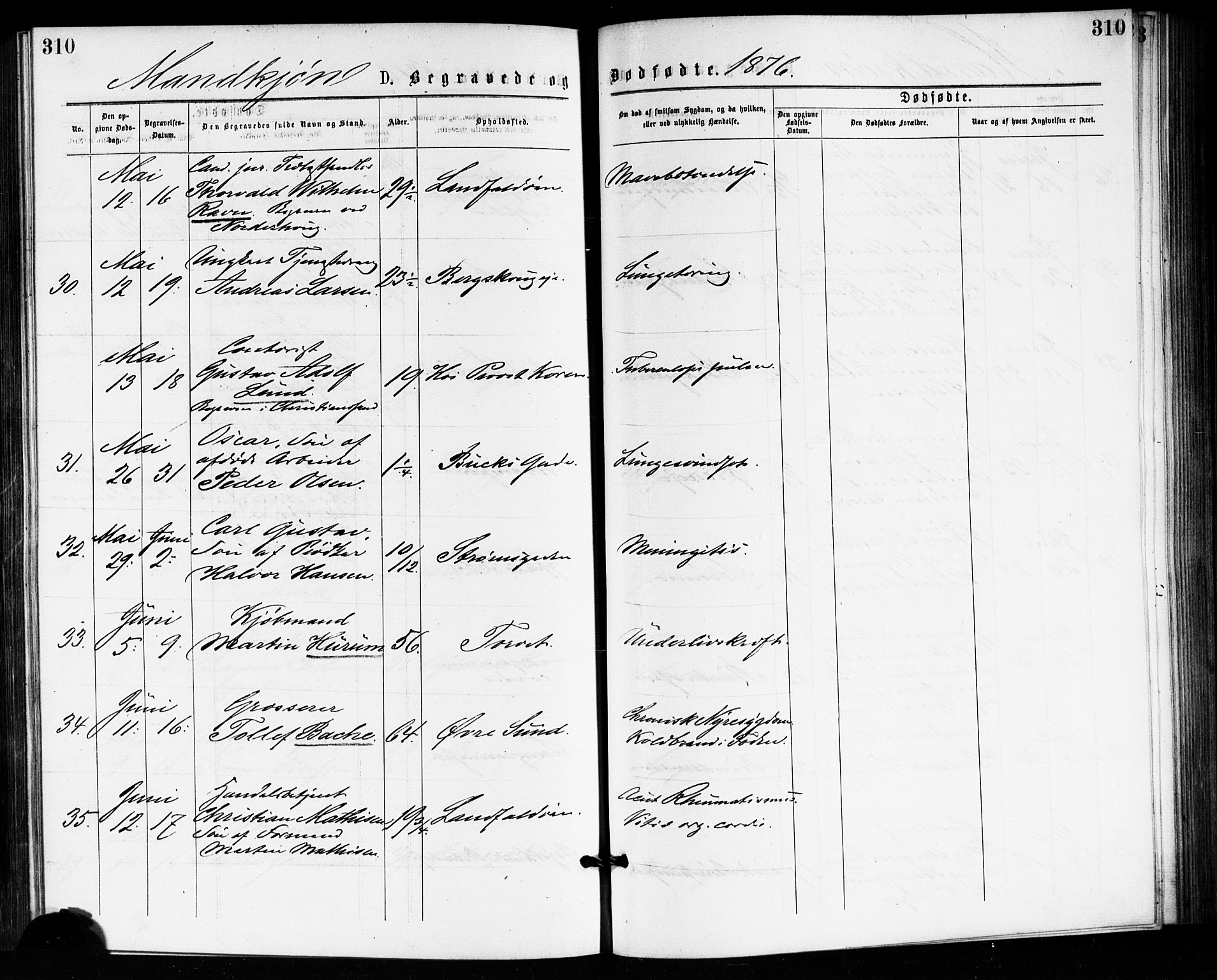 Bragernes kirkebøker, SAKO/A-6/F/Fb/L0005: Parish register (official) no. II 5, 1875-1877, p. 310