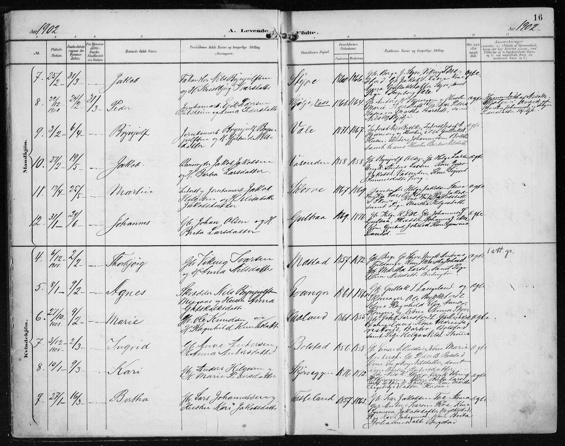 Evanger sokneprestembete, SAB/A-99924: Parish register (official) no. A  3, 1900-1930, p. 16