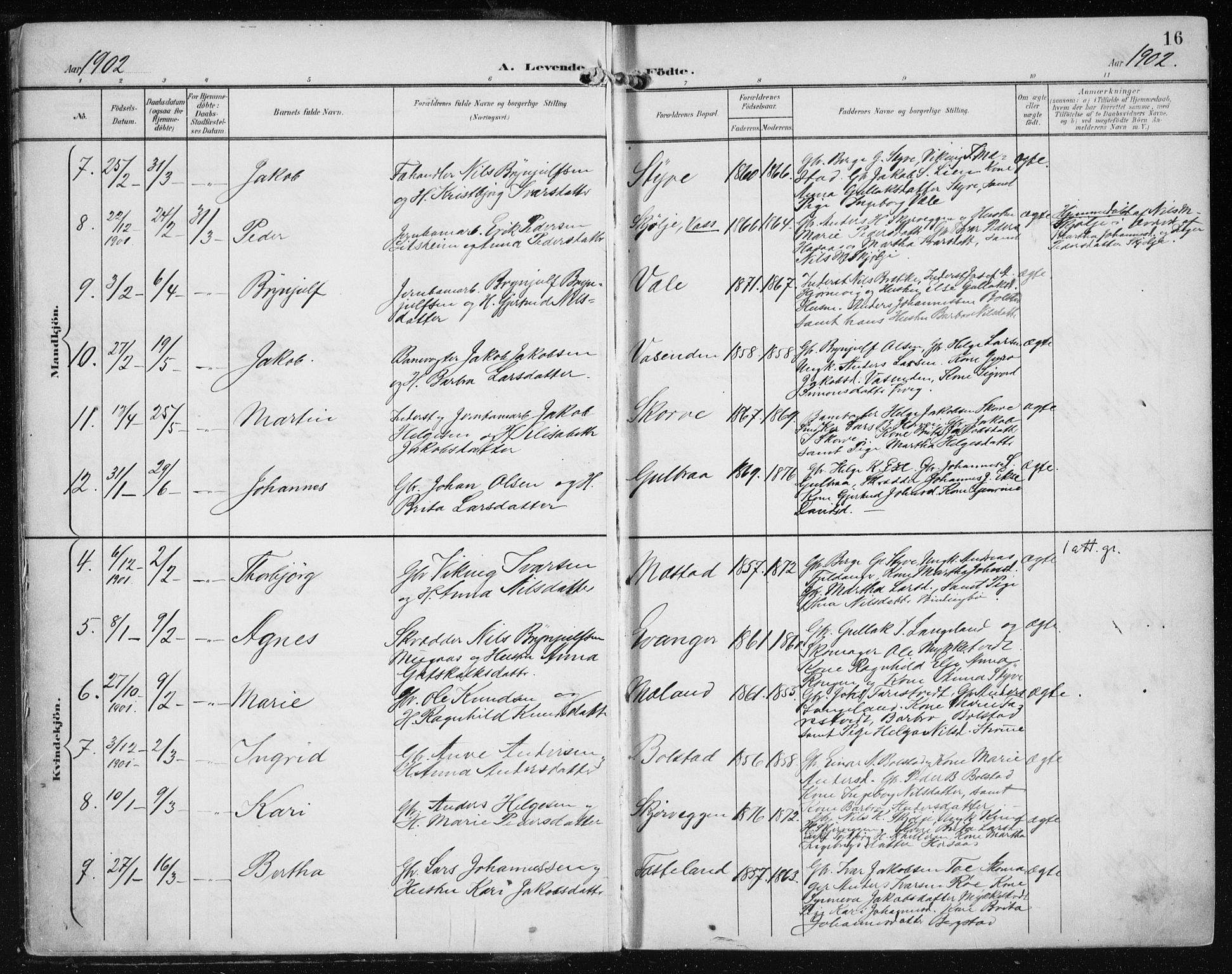 Evanger sokneprestembete, AV/SAB-A-99924: Parish register (official) no. A  3, 1900-1930, p. 16