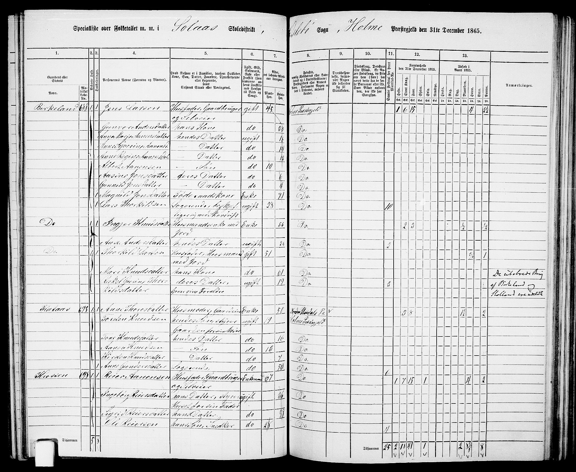 RA, 1865 census for Holum, 1865, p. 120