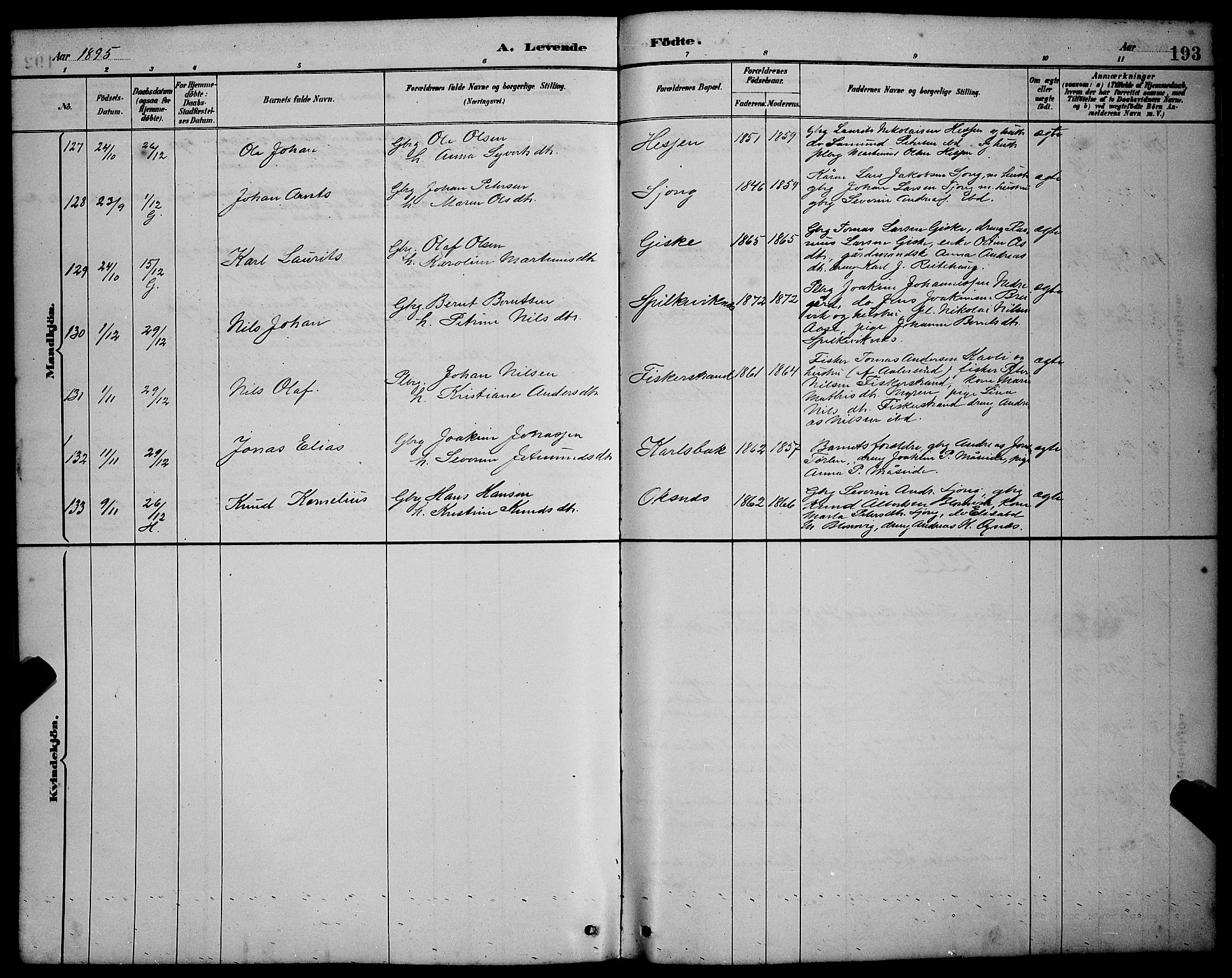 Ministerialprotokoller, klokkerbøker og fødselsregistre - Møre og Romsdal, AV/SAT-A-1454/528/L0431: Parish register (copy) no. 528C12, 1885-1898, p. 193