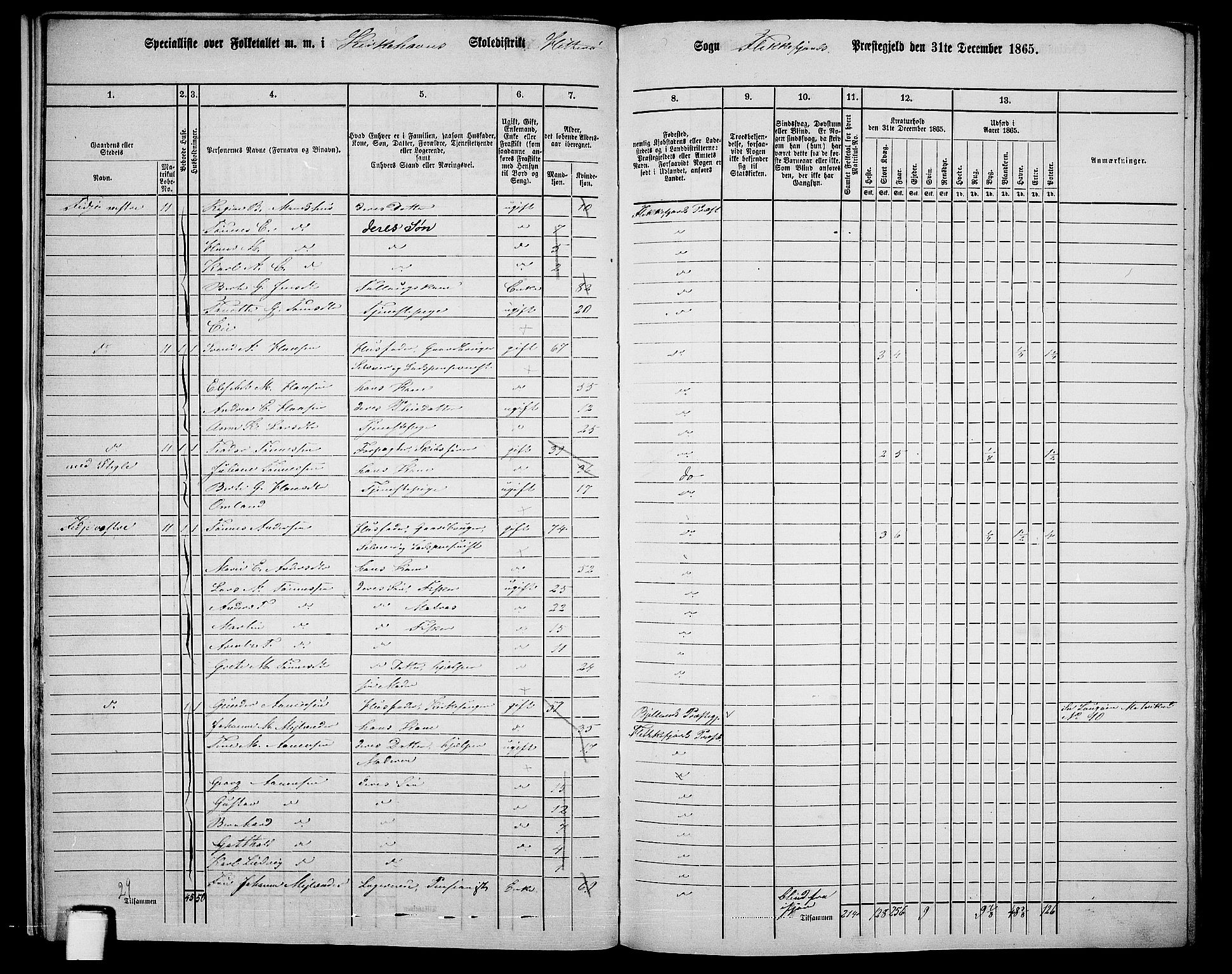 RA, 1865 census for Flekkefjord/Nes og Hidra, 1865, p. 18