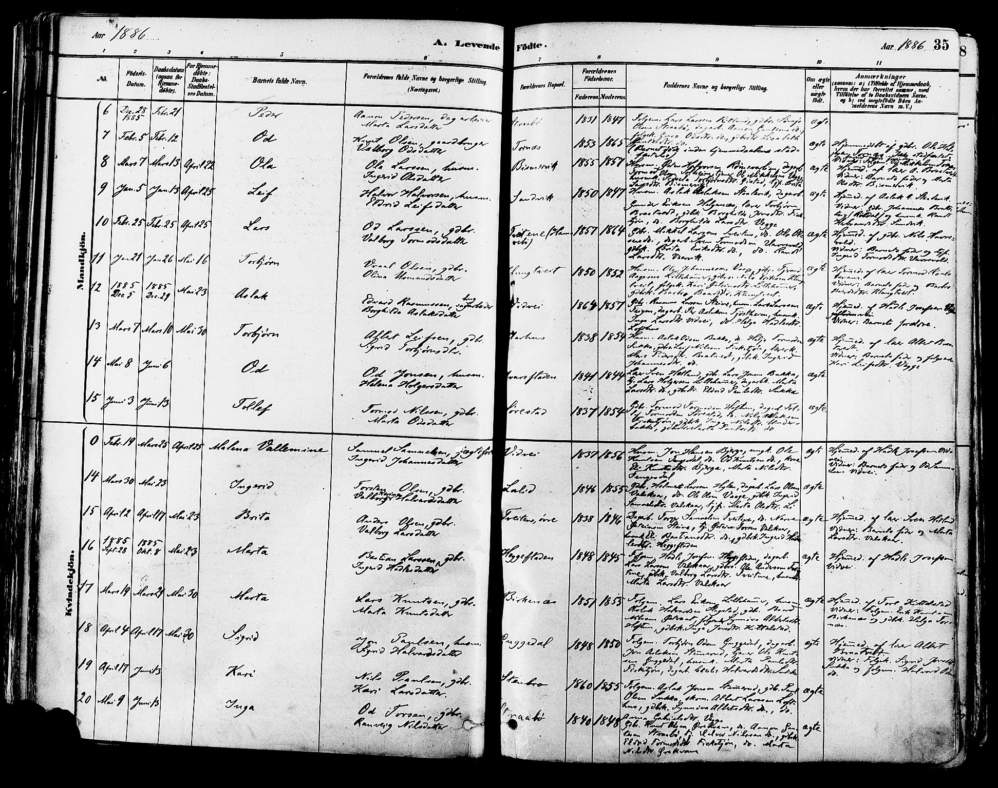 Suldal sokneprestkontor, AV/SAST-A-101845/01/IV/L0011: Parish register (official) no. A 11, 1878-1900, p. 35