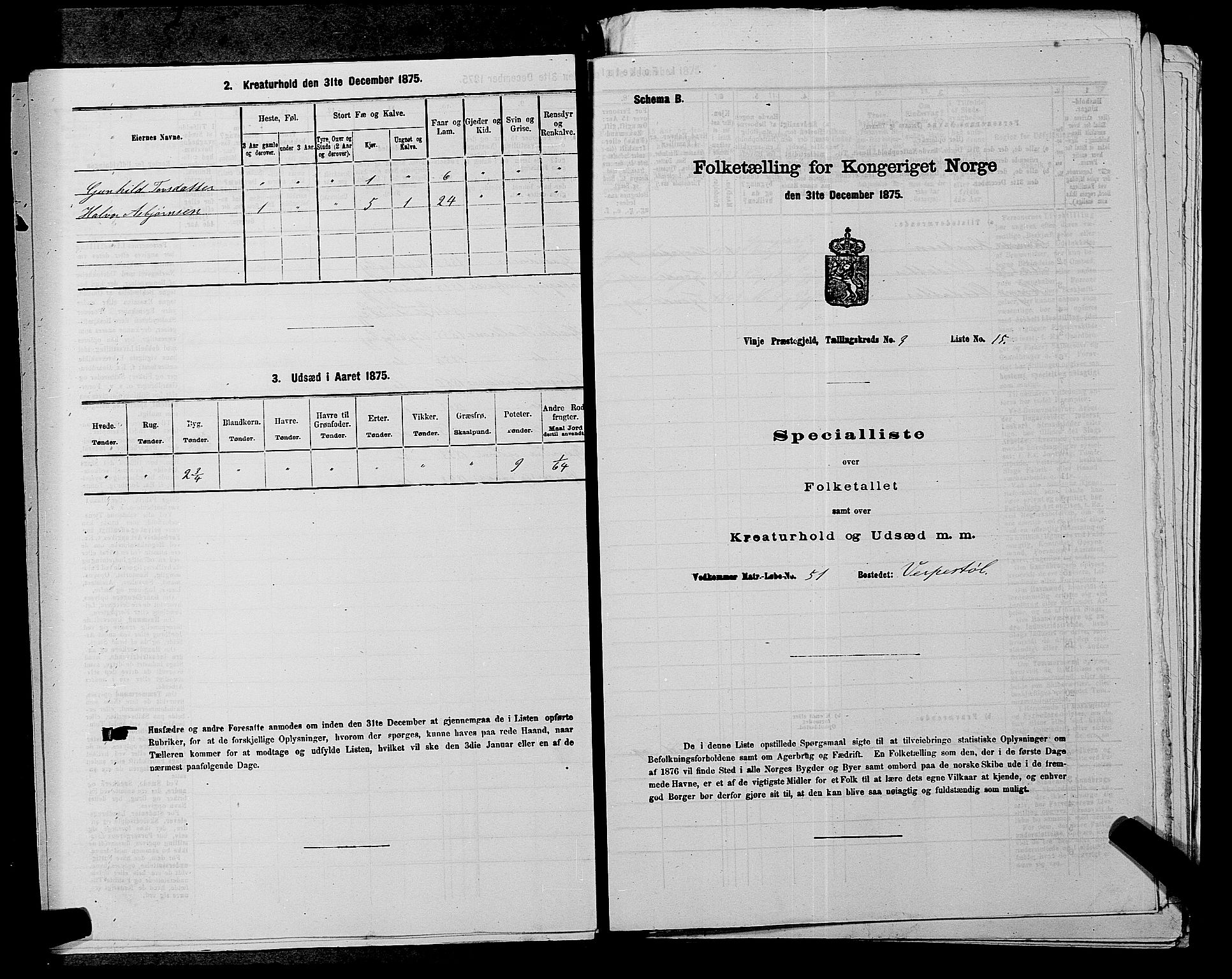 SAKO, 1875 census for 0834P Vinje, 1875, p. 297