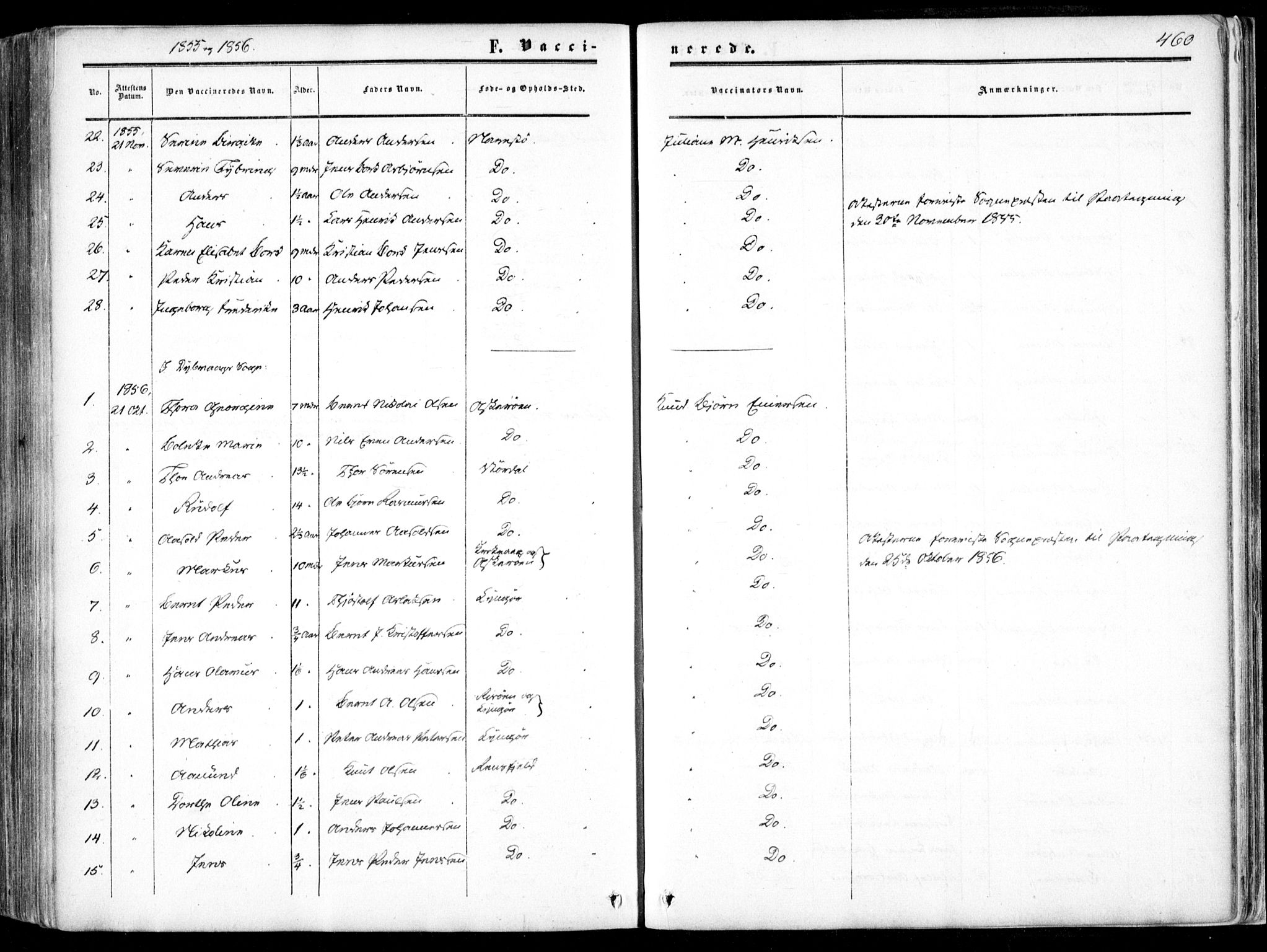 Dypvåg sokneprestkontor, SAK/1111-0007/F/Fa/Faa/L0006: Parish register (official) no. A 6, 1855-1872, p. 460