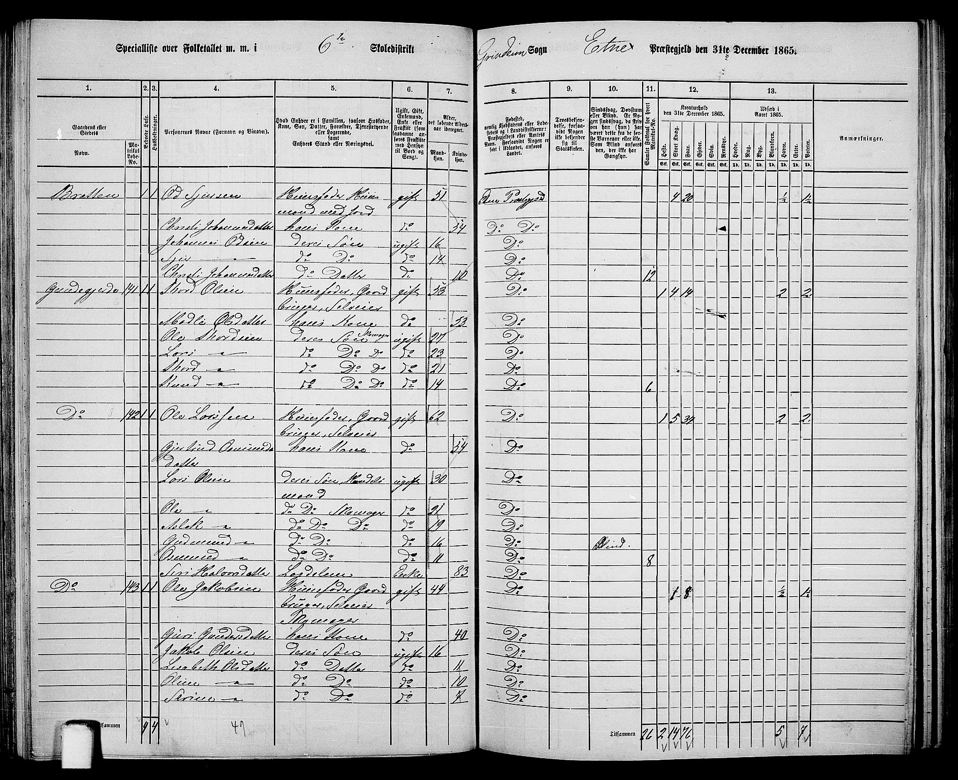 RA, 1865 census for Etne, 1865, p. 96